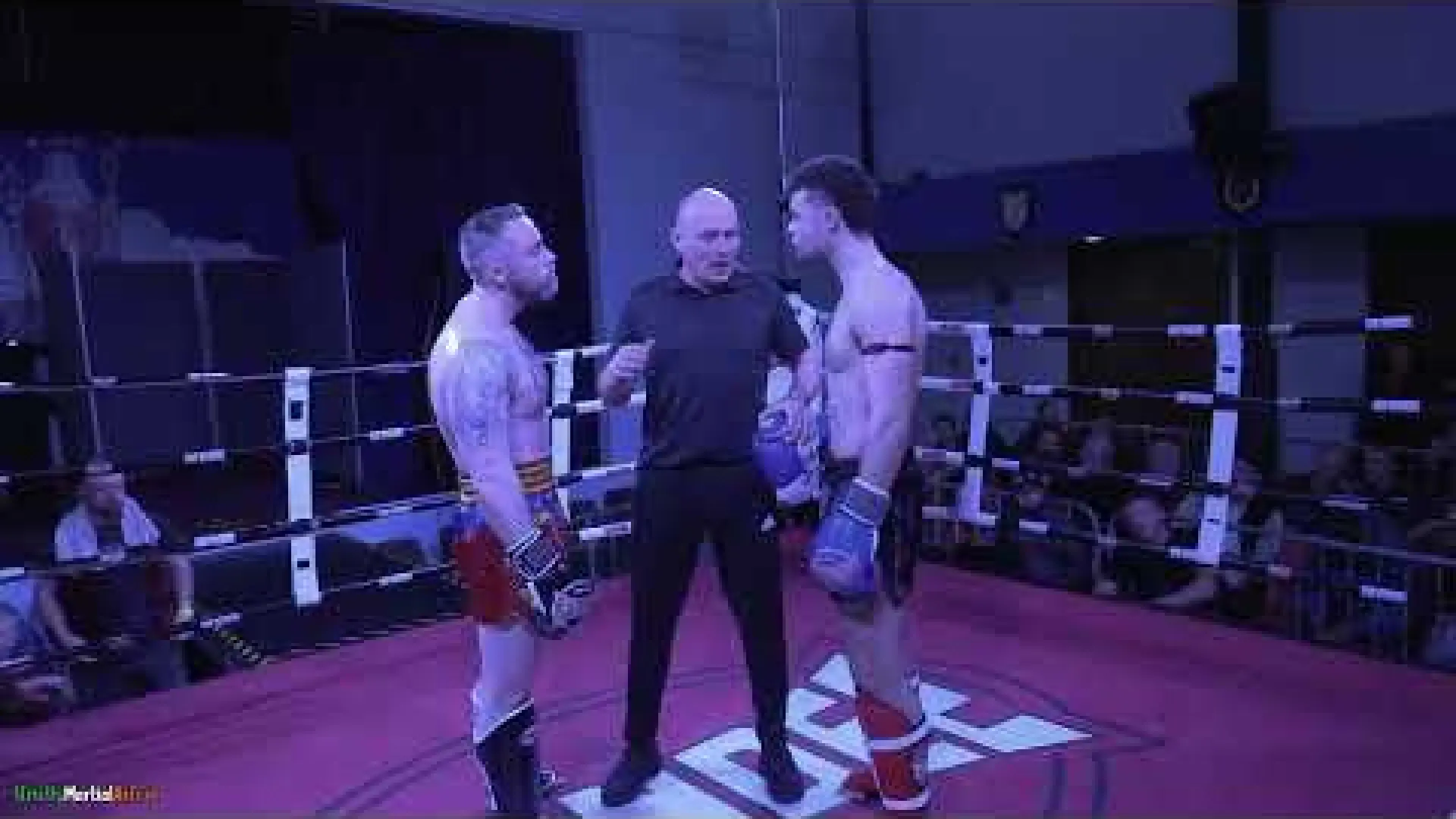 Colin Tobin vs Louis Corr (Fight Video)
