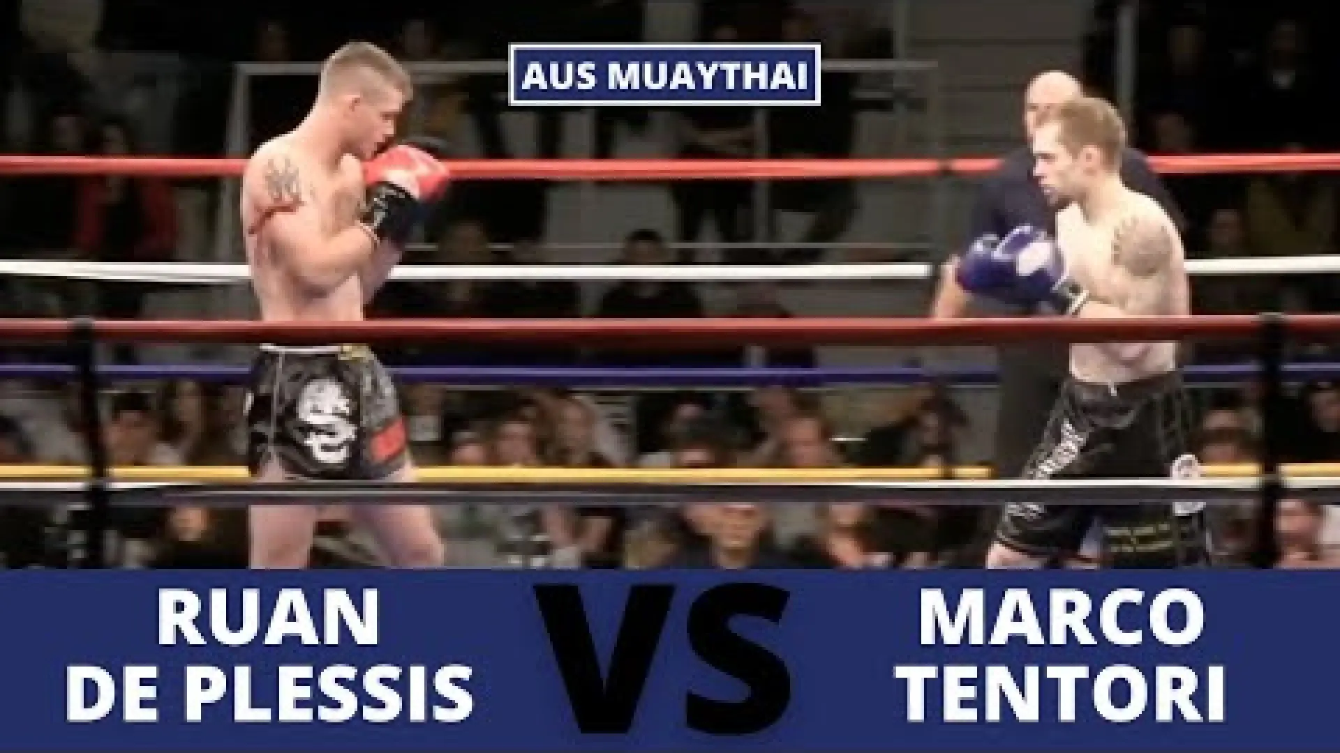 Ruan De Plessis vs Marco Tentori (Fight Video)