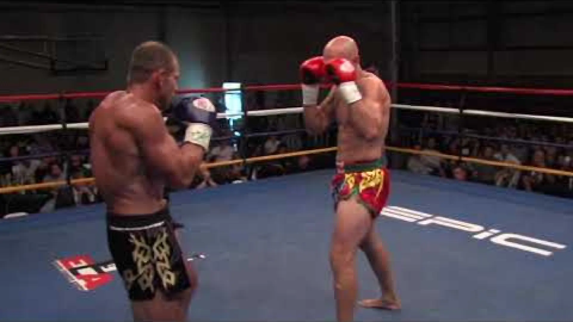 Harald Olsen vs Lachlan Stewert (Fight Video)
