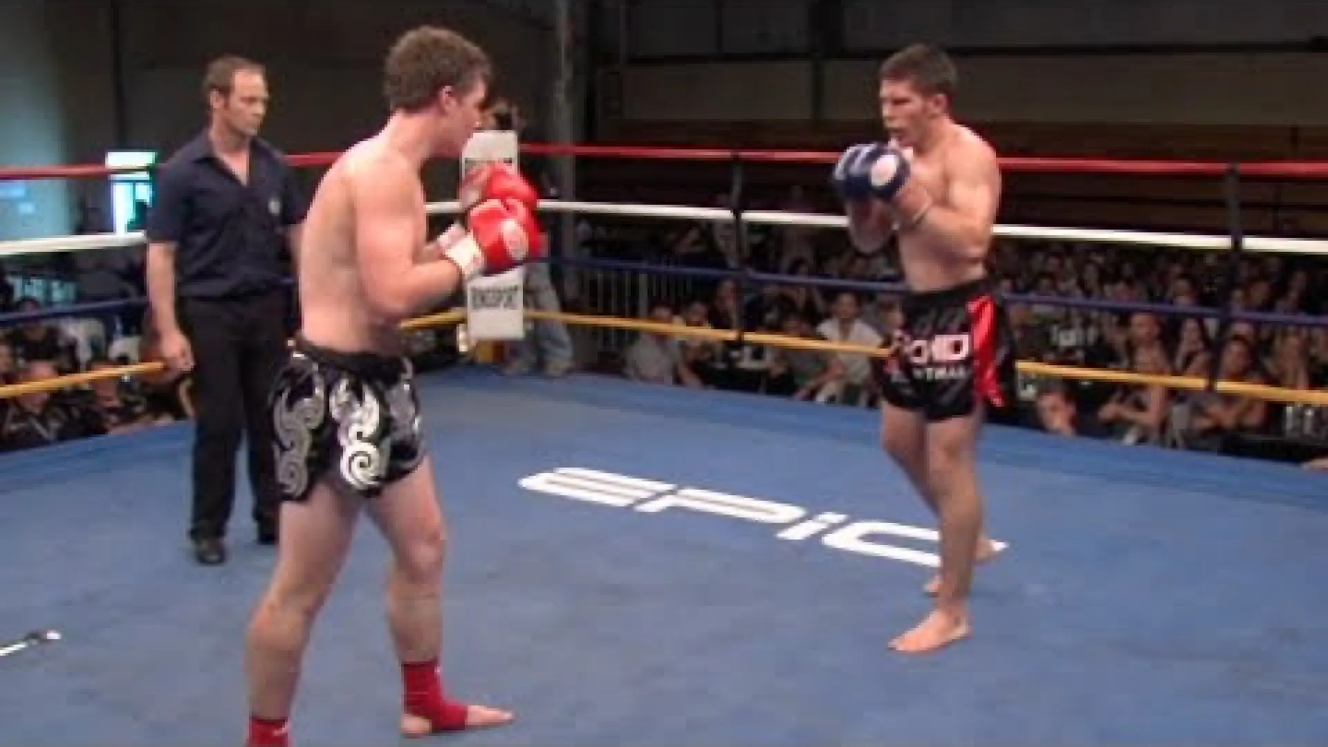 Chris Watt vs Alex Job (Fight Video)