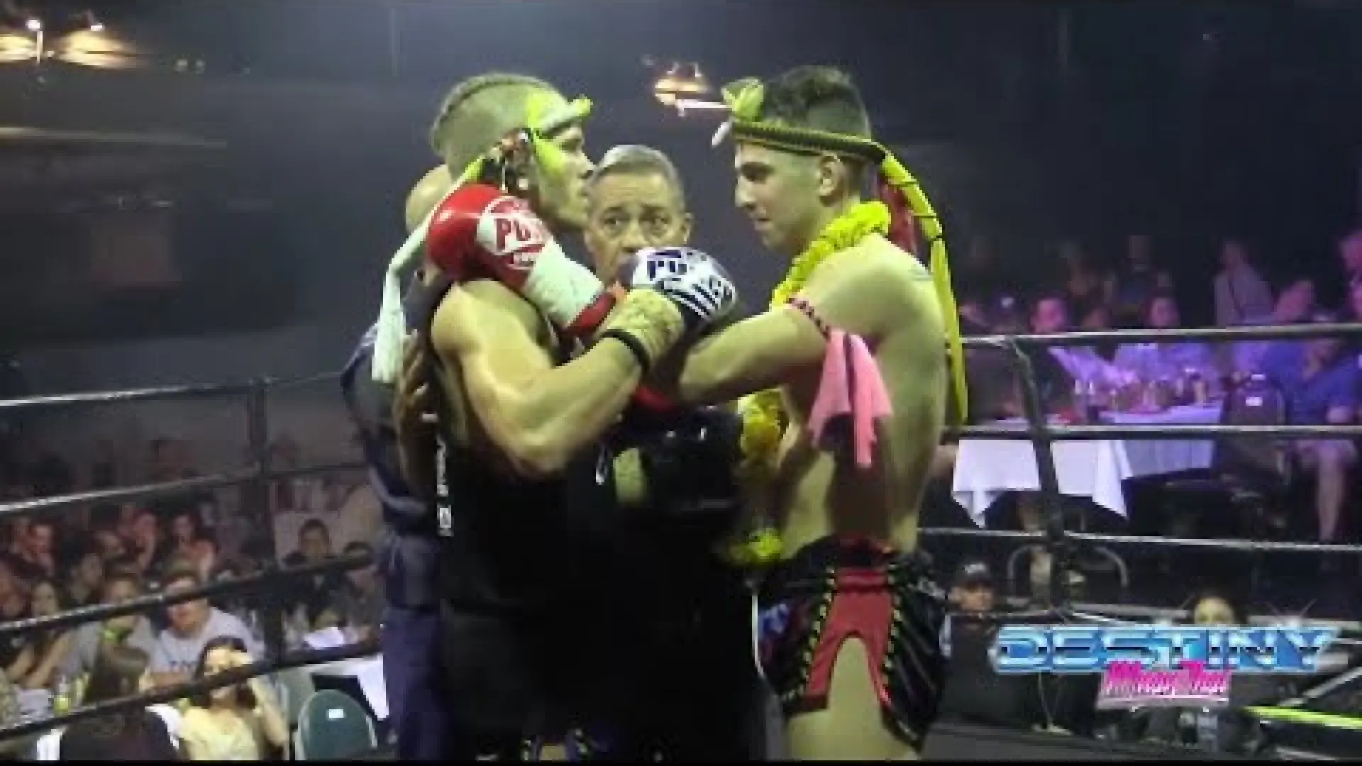 David Pennimpede vs Bryce Maguire (Fight Video)