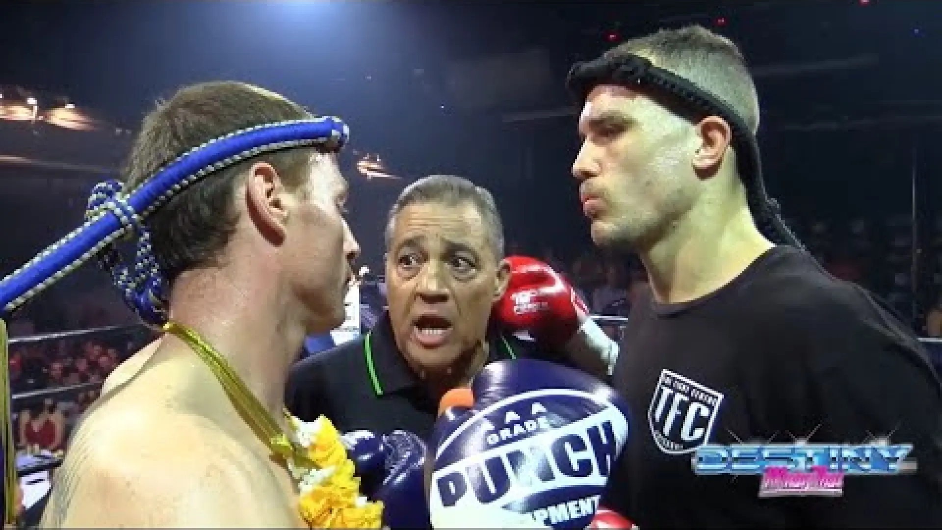 Dan Edwards vs Ben Johnston (Fight Video)