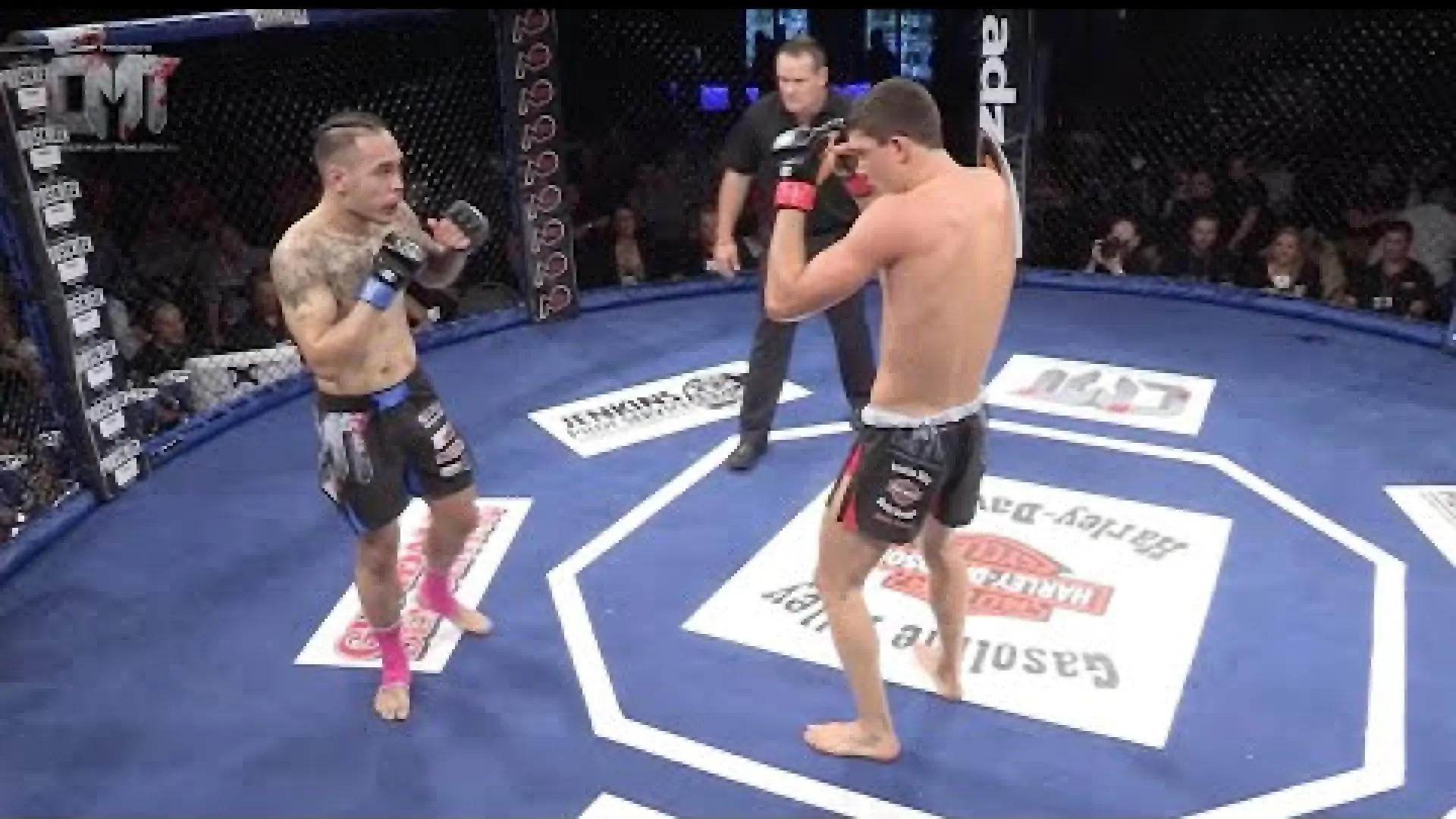 Jake Lund vs Franz Sanchez (Fight Video)