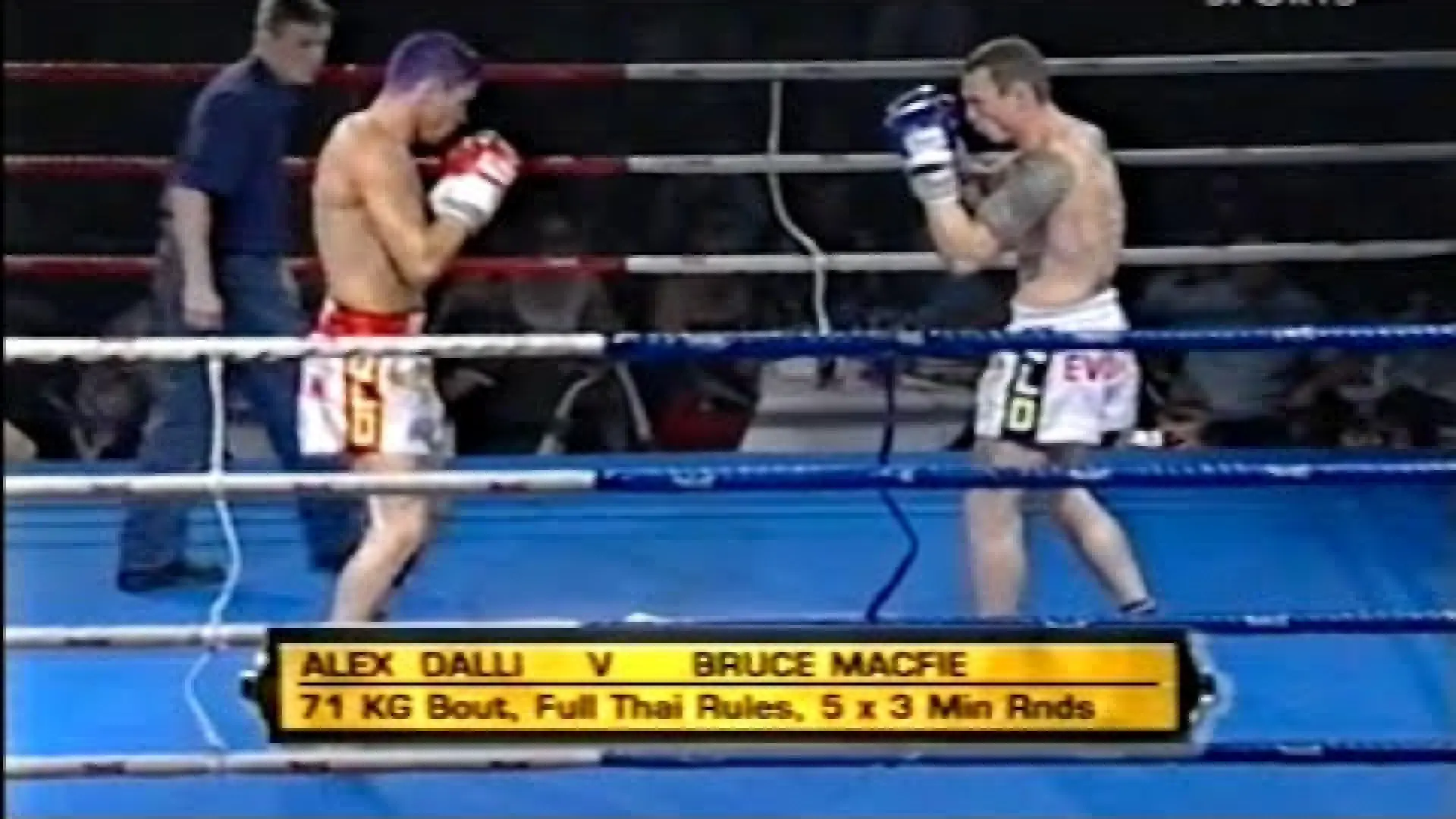 Bruce Macfie vs Alex Dally (Fight Video)