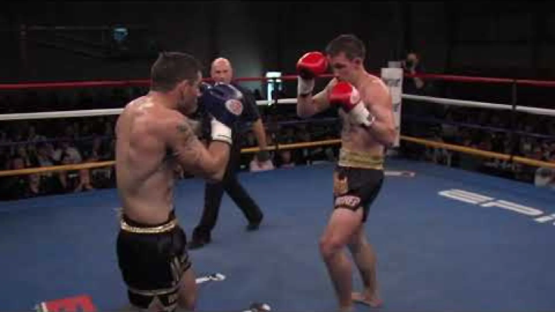 Jason Lea vs Harlee Avison (Fight Video)