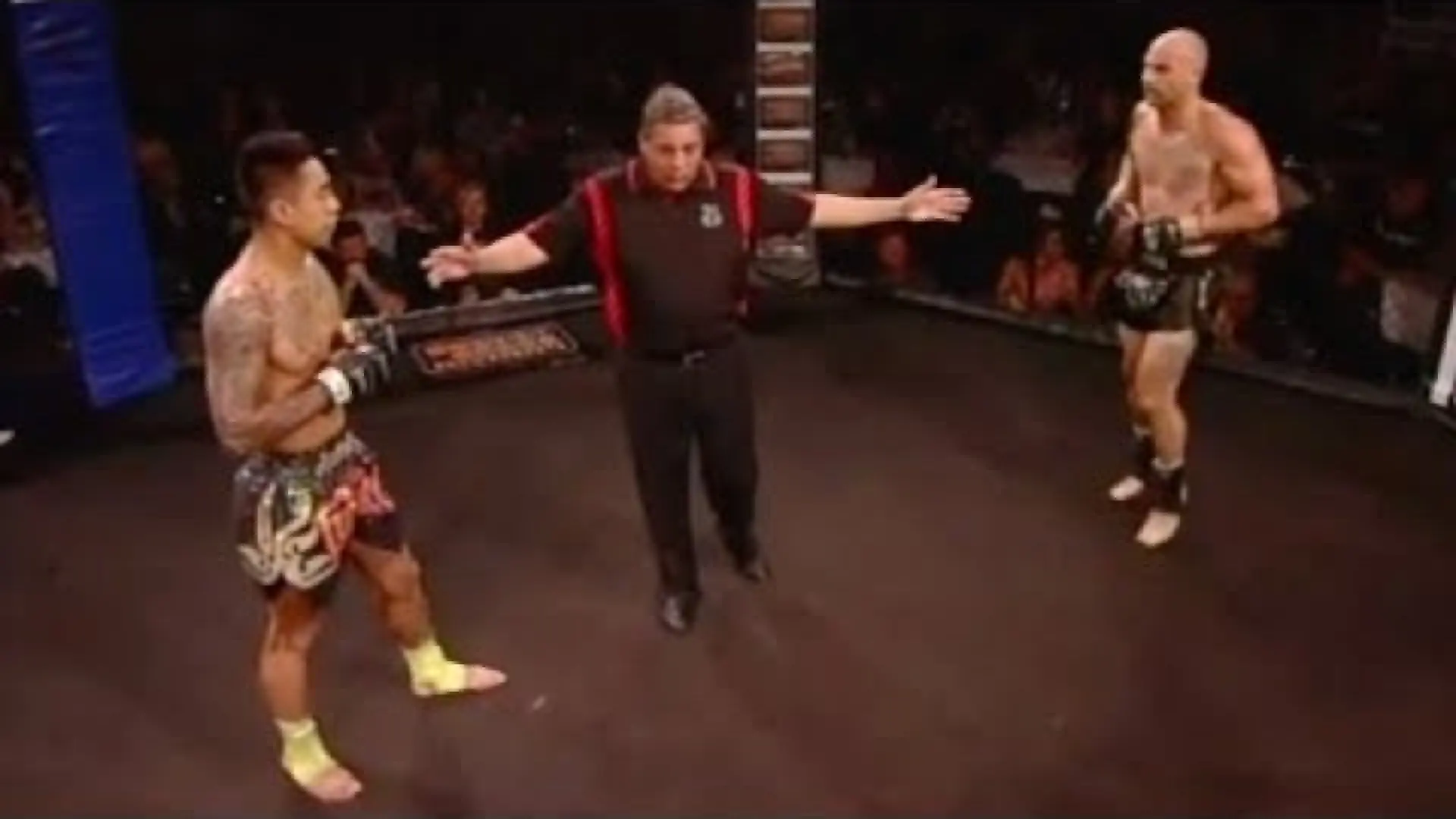 Michael Badato vs Mark Lucchiari (Fight Video)