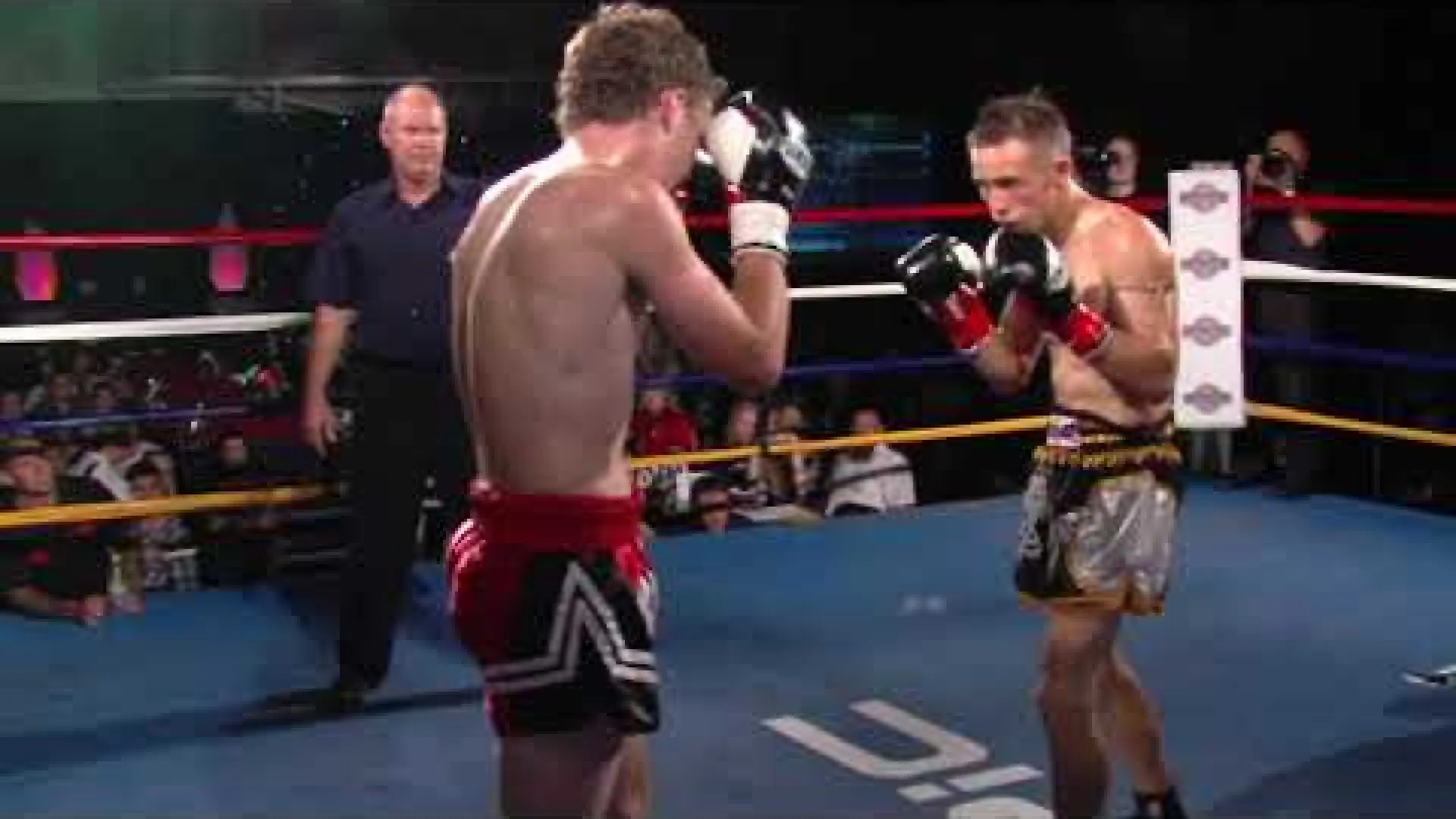 Roy Wills vs Alex Job (Fight Video)