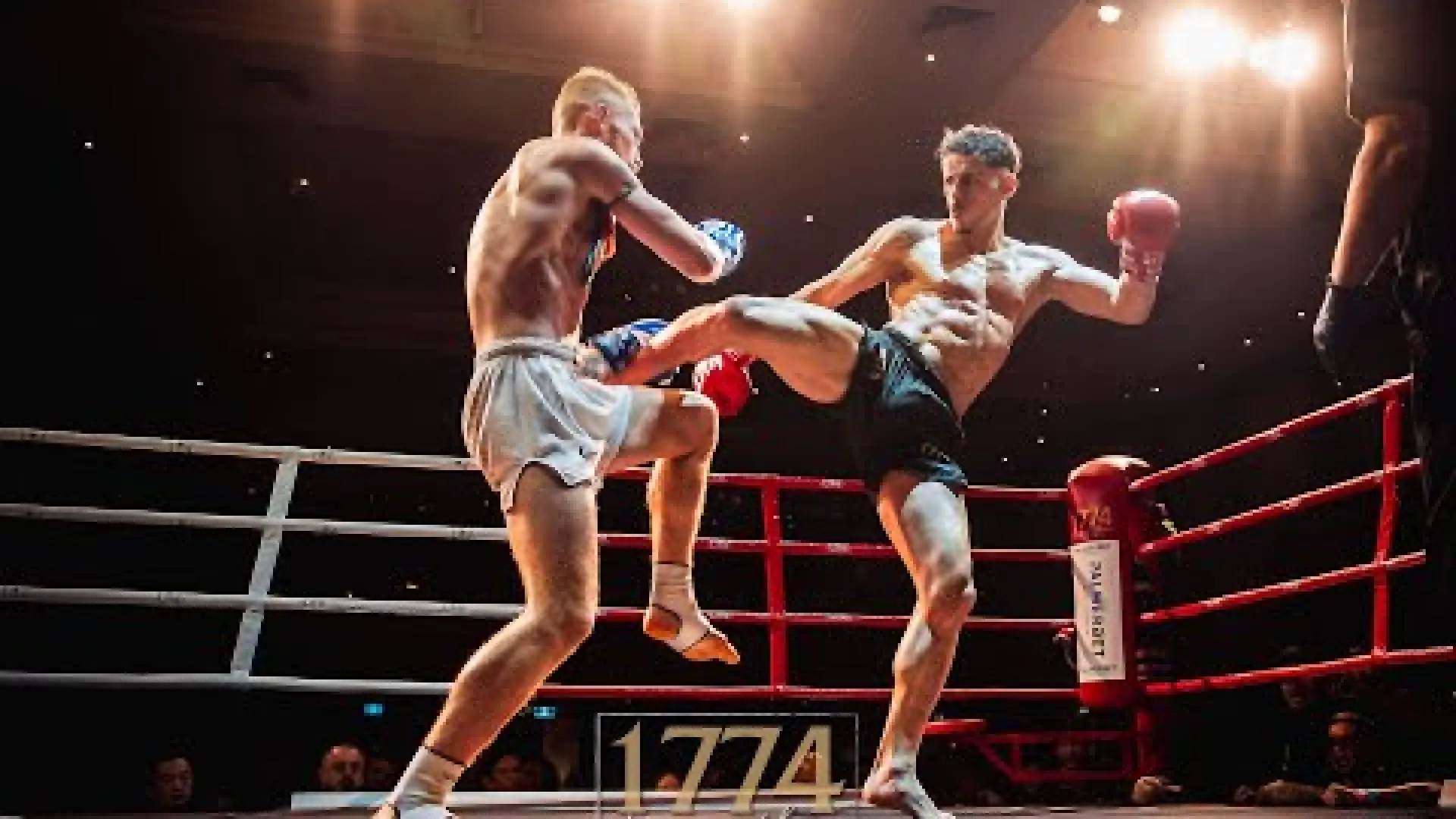 Luis Cajaiba vs Hugh O'Donnell (Fight Video)