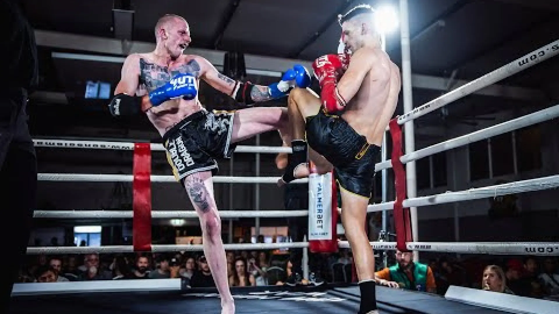 Sam Eleid vs Daniel Charlwood (Fight Video)