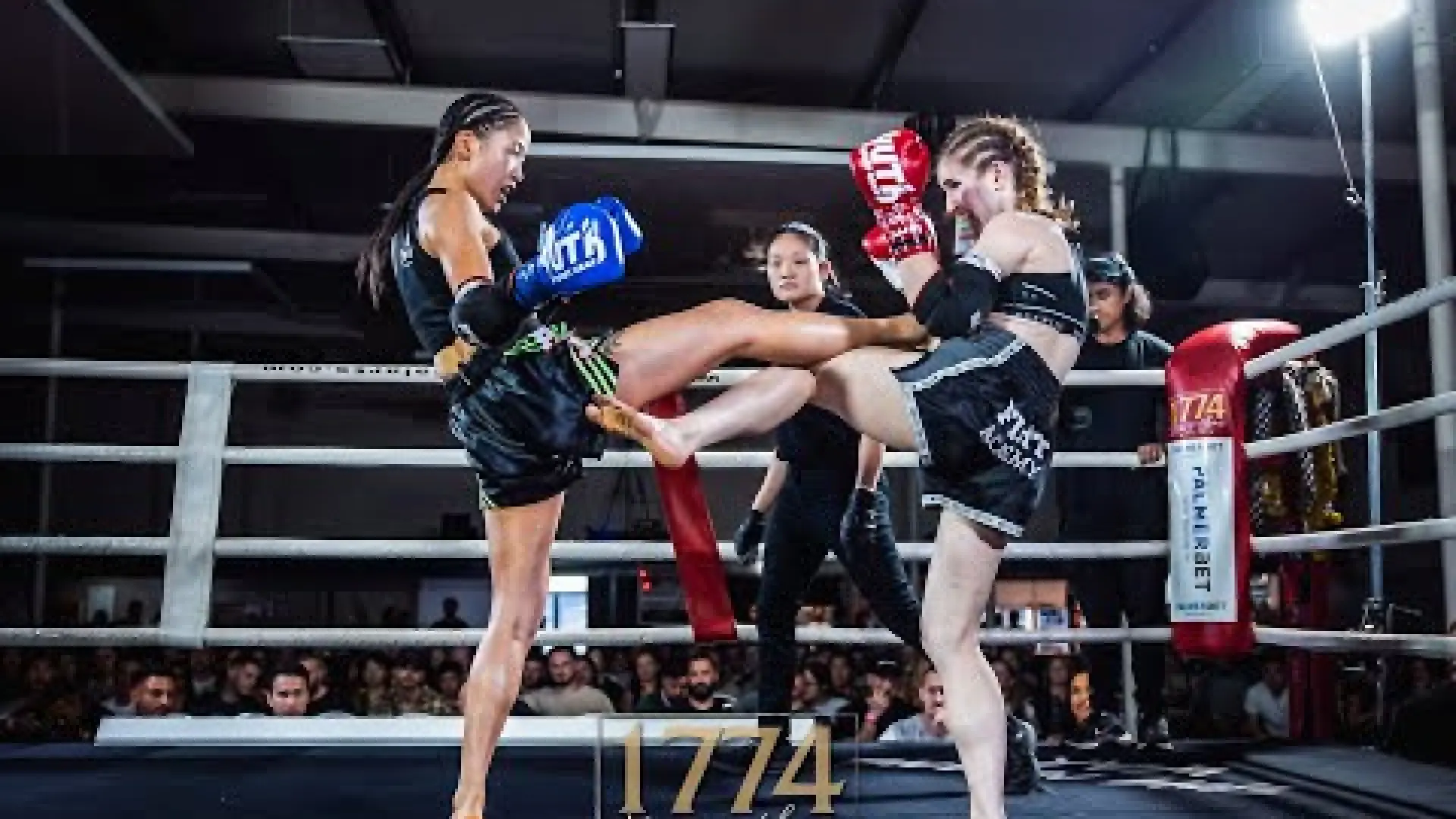 Hannah Dayes vs Jane Koo (Fight Video)