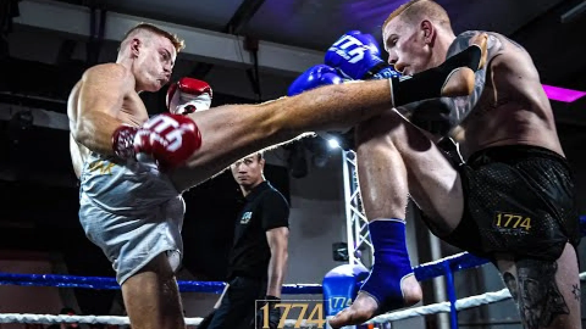 Josh King vs Nathan Jones Jnr (Fight Video)