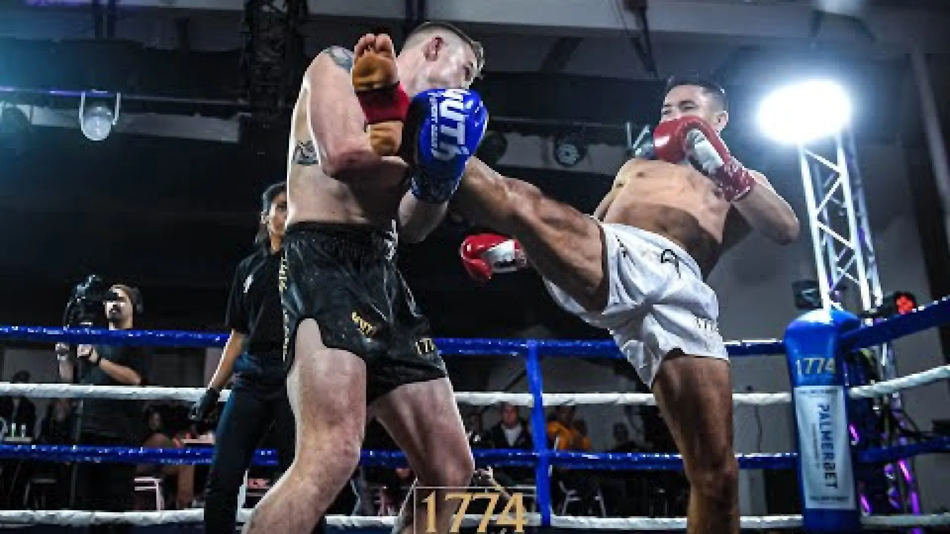 Sulaiman Hashemi vs Jordie Bargallie (Fight Video)