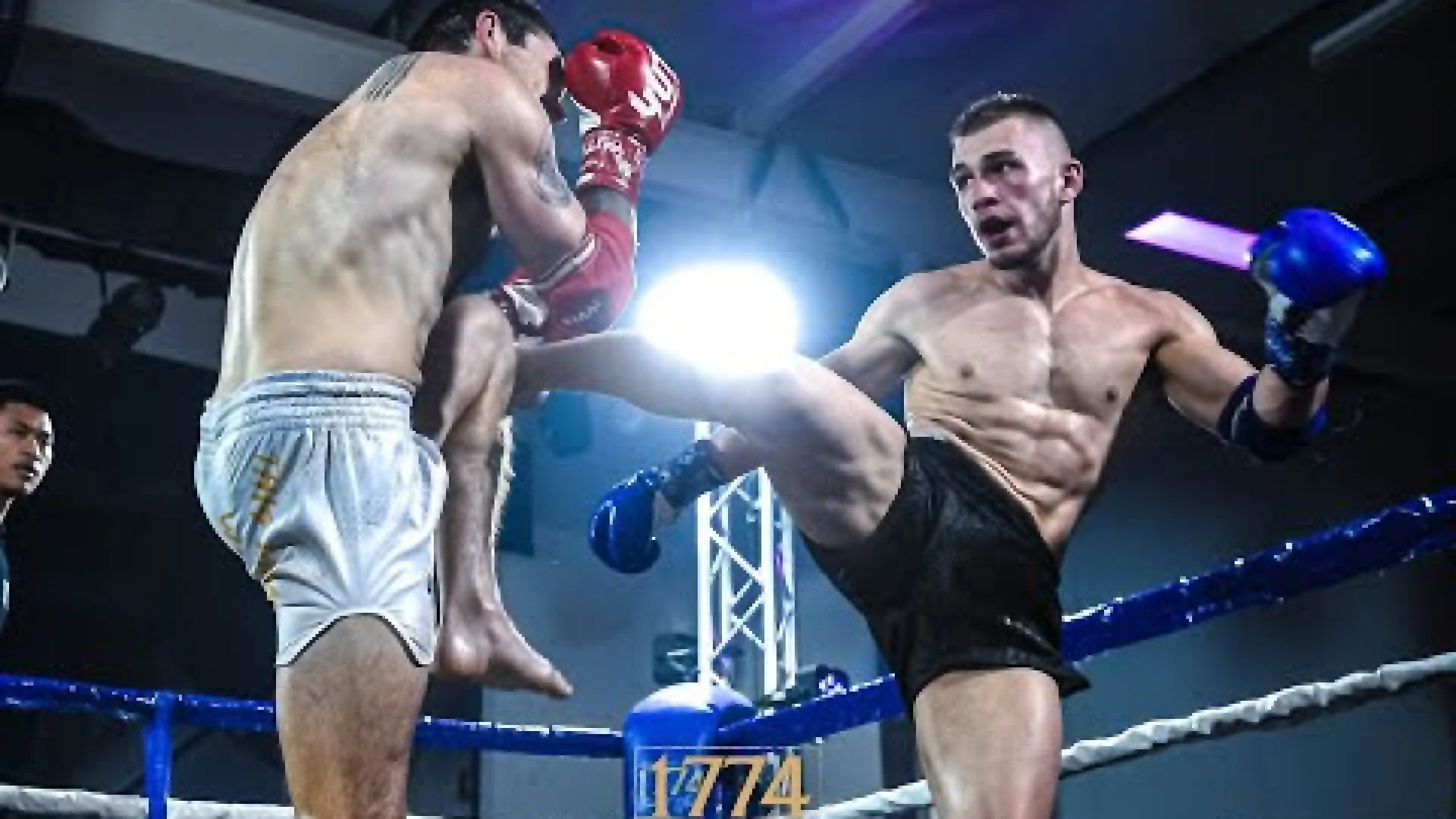 Flavio Muho vs Kyle Turner (Fight Video)