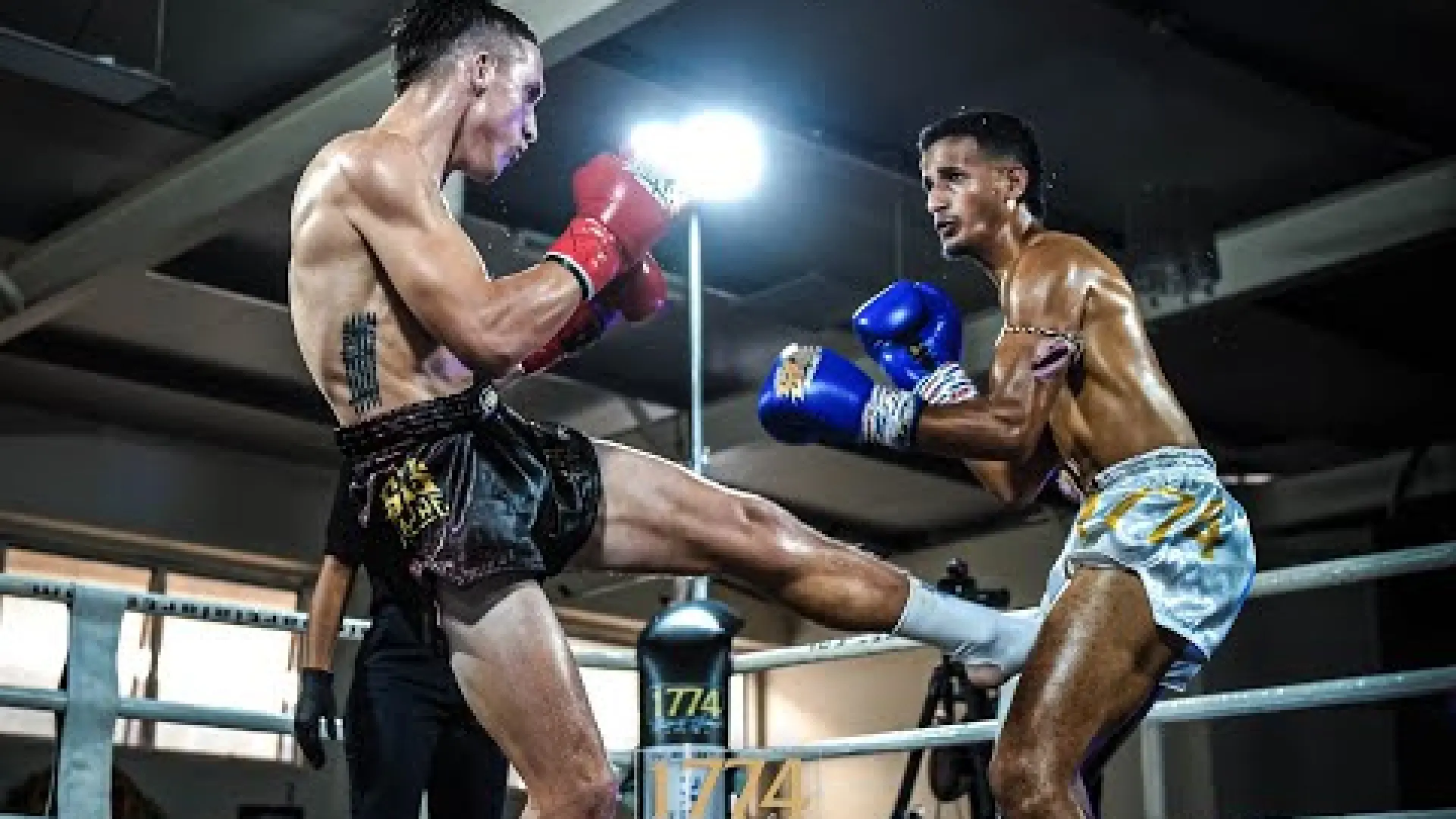 Michael Zalenski vs Fahed Haider (Fight Video)
