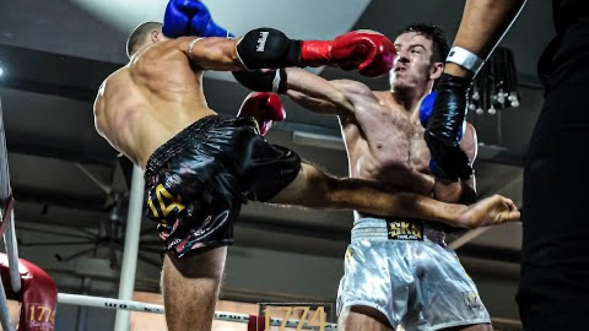 Jackson Walker vs Lachy McWaters (Fight Video)