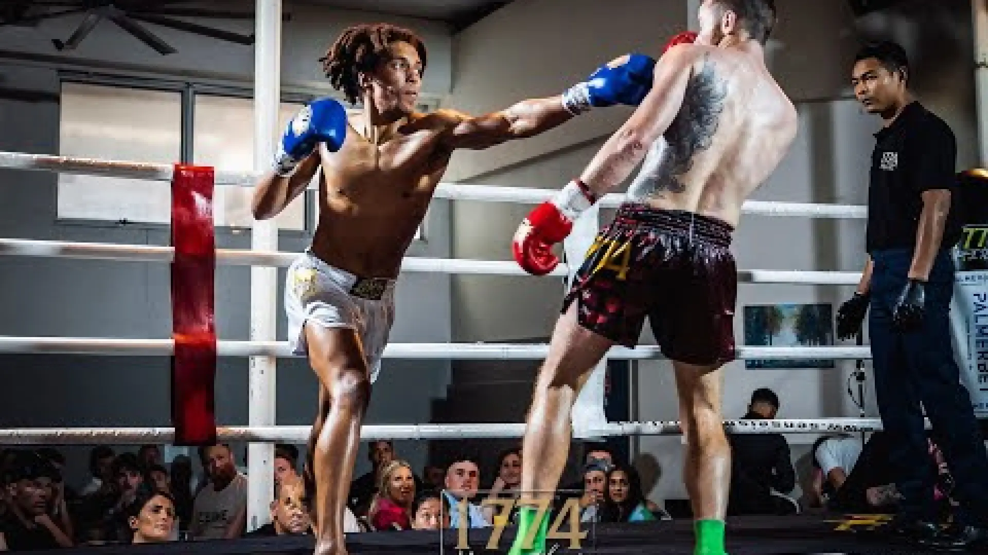Luke Taylor vs Gary Patterson (Fight Video)