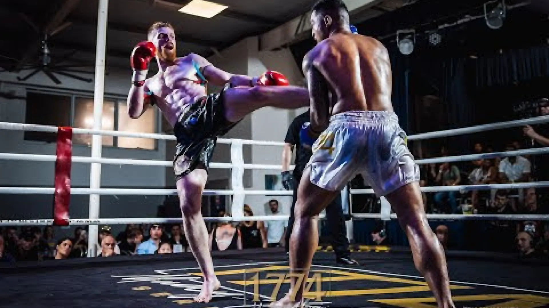 Jonathan Aiulu vs Hugh O'Donnell (Fight Video)