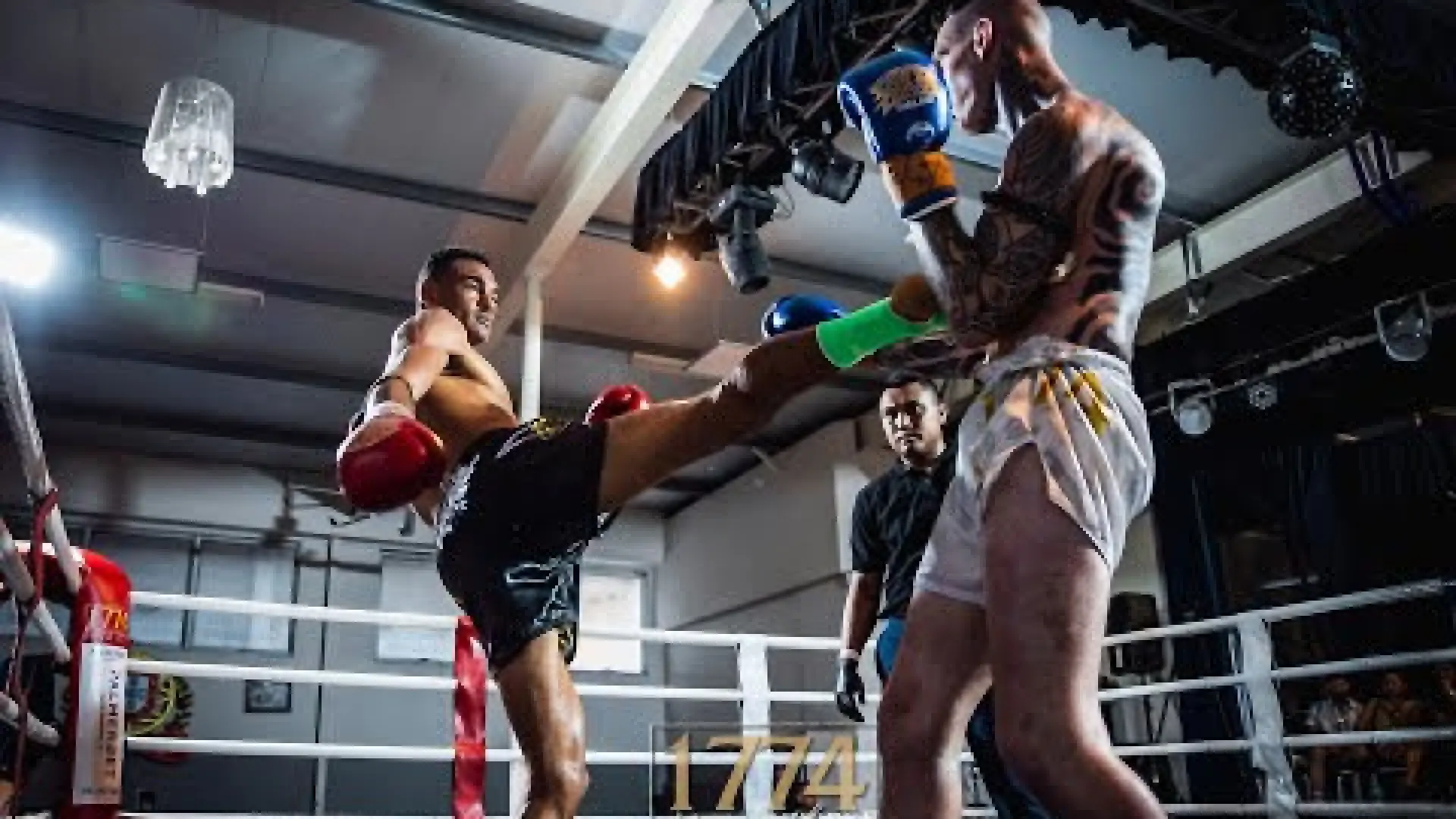 Fabrice Dellanon vs Matthew Smith (Fight Video)