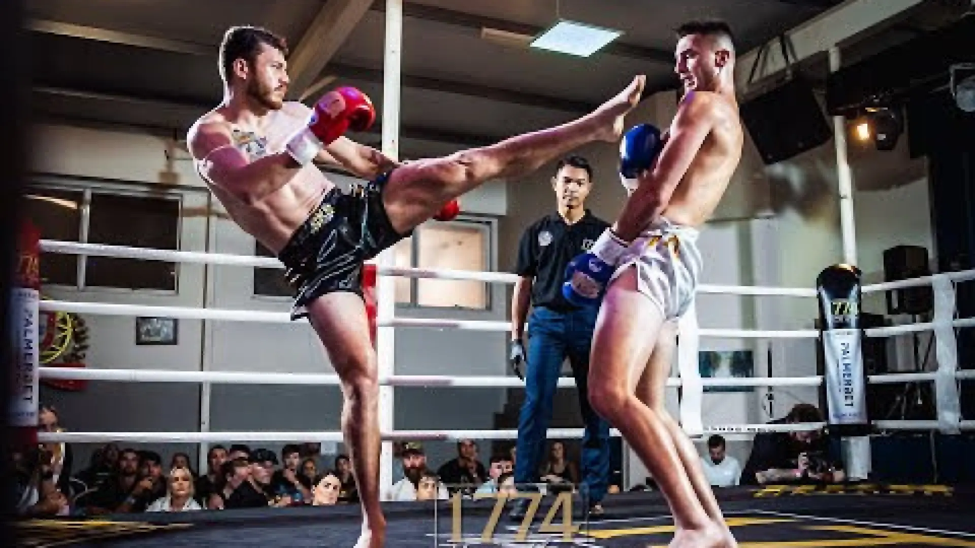 Cody Jameson vs Riley Anastas (Fight Video)