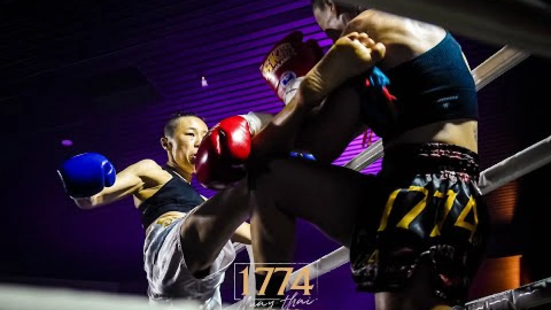 Tracy Allesina vs Shuk Ye Ho (Fight Video)