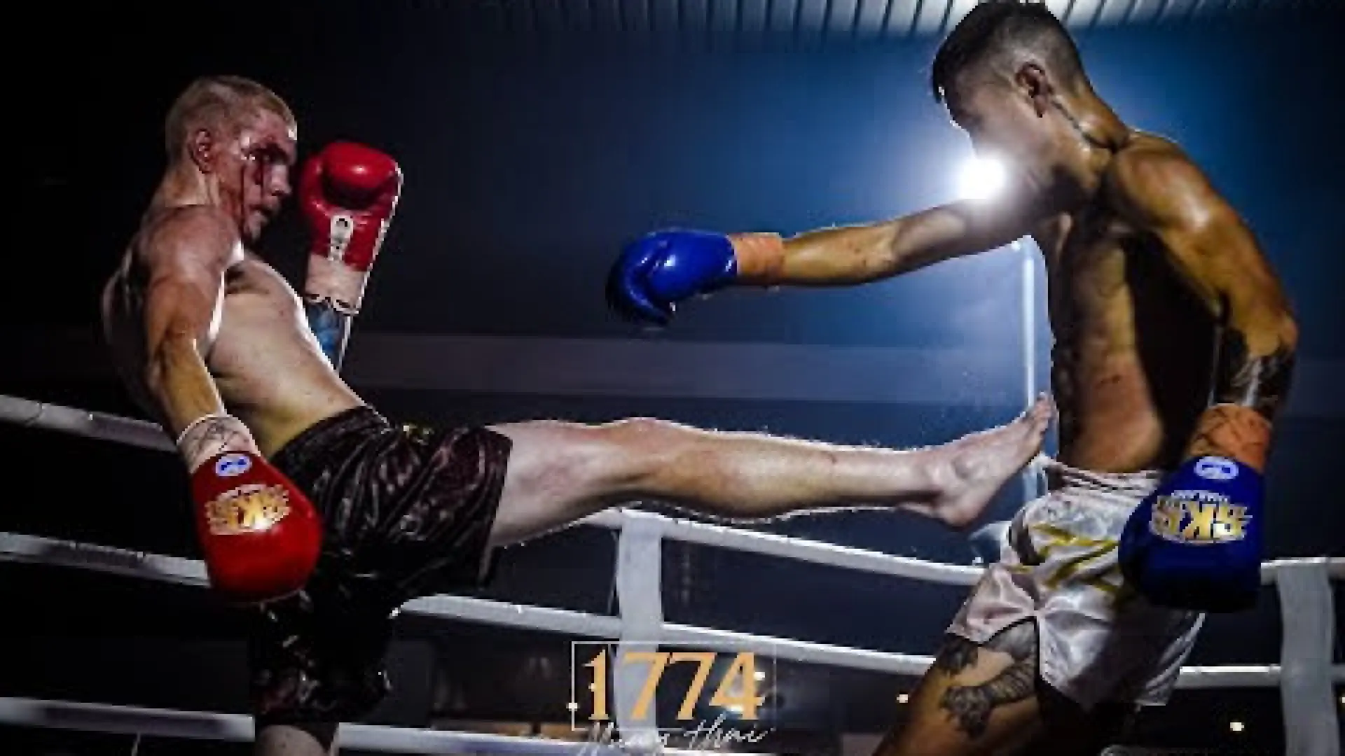 Justin Shin vs Nathan Jones Jnr (Fight Video)