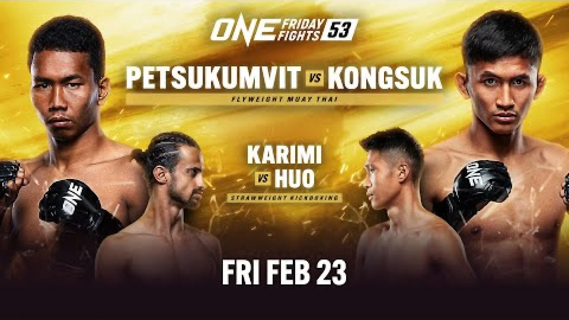 Majid Karimi vs Huo Xiaolong (Fight Video)