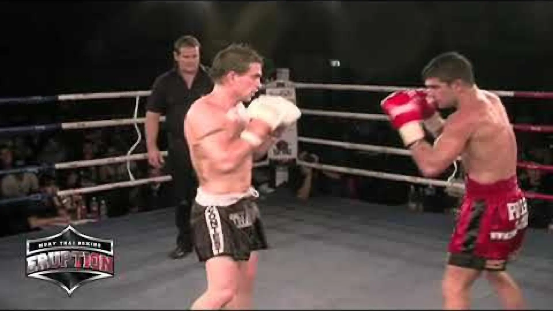 Clayton Collyer vs Taylor Harvey (Fight Video)