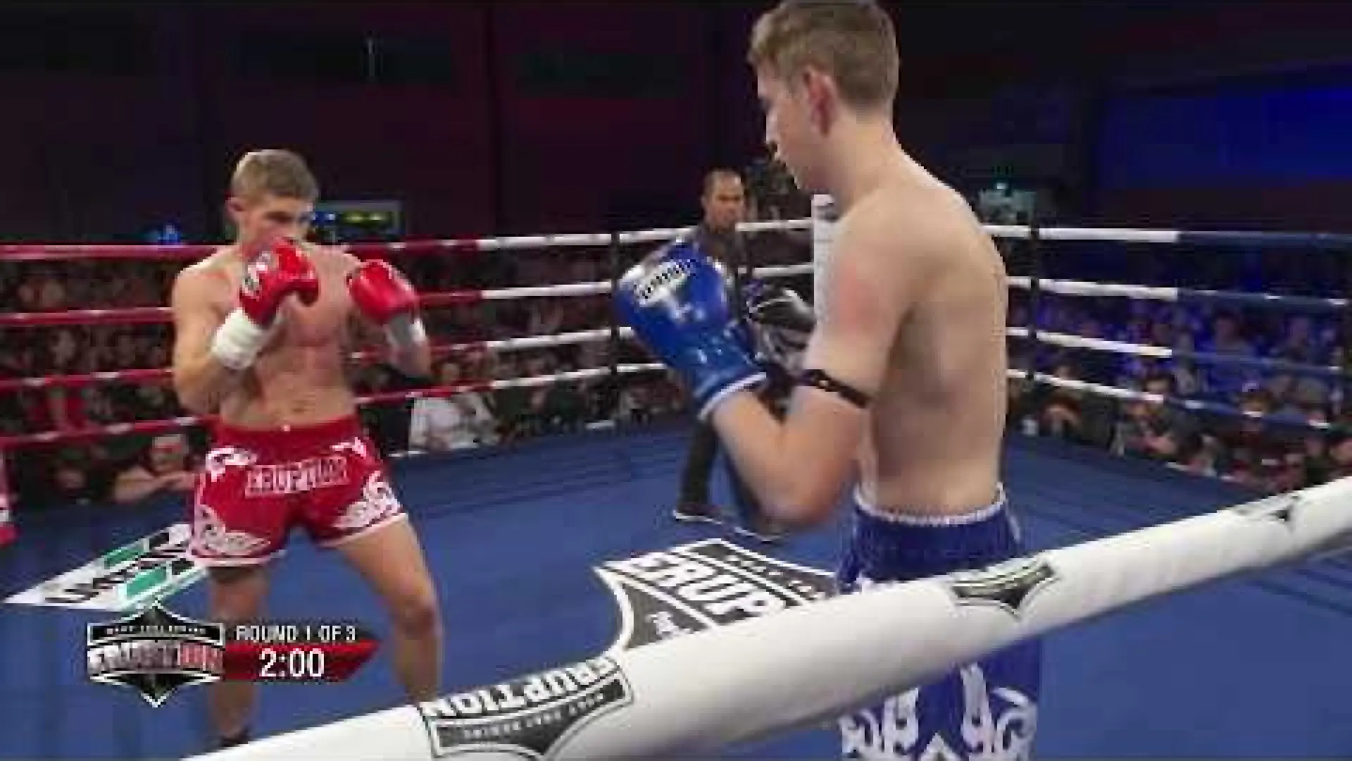George Mann vs Jake Moulden (Fight Video)