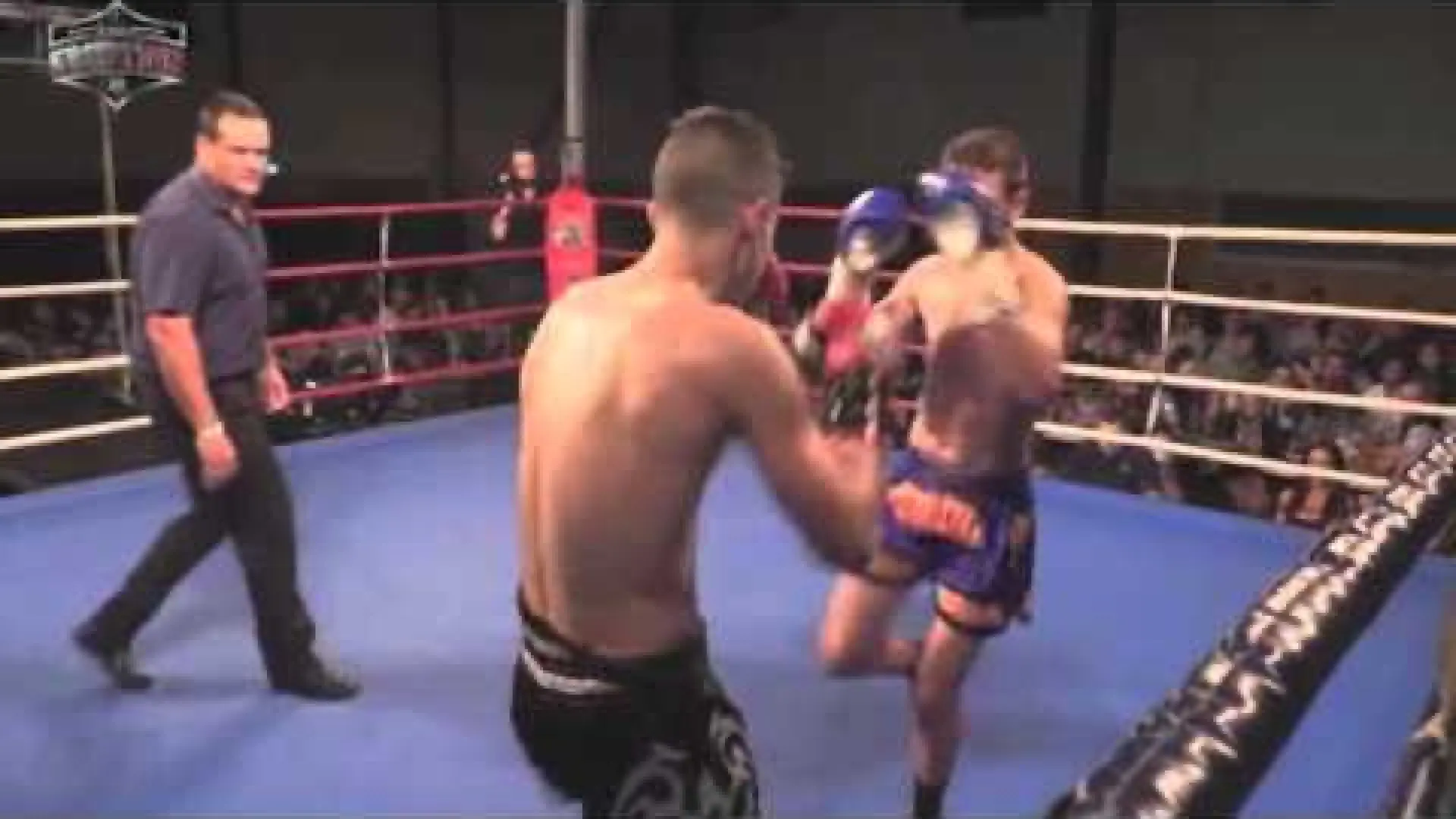Corey Nicholson vs Jayden Stati (Fight Video)