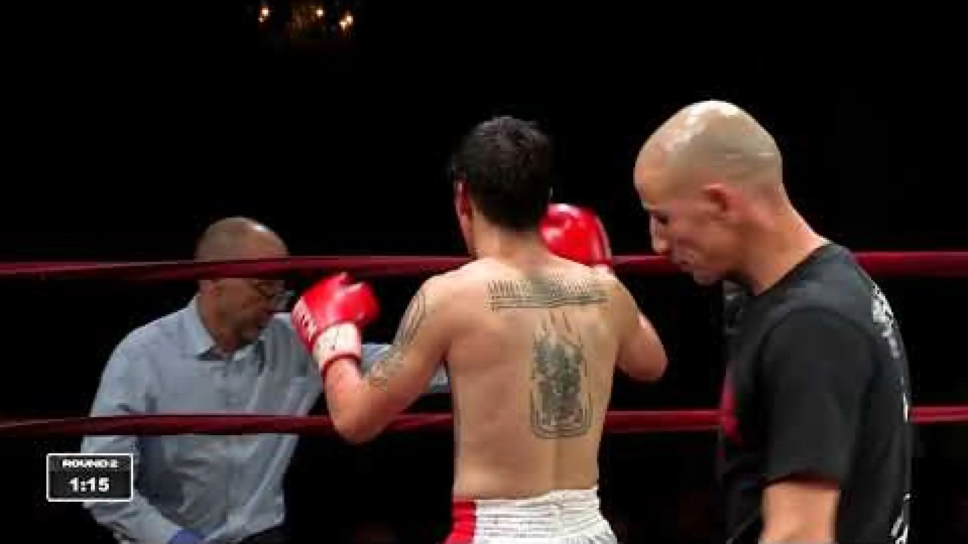 Gavin Sammit vs Louie Boubis (Fight Video)