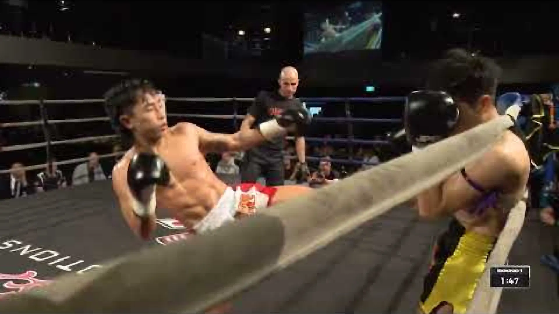 James Thepwong vs Kahow Lee (Fight Video)