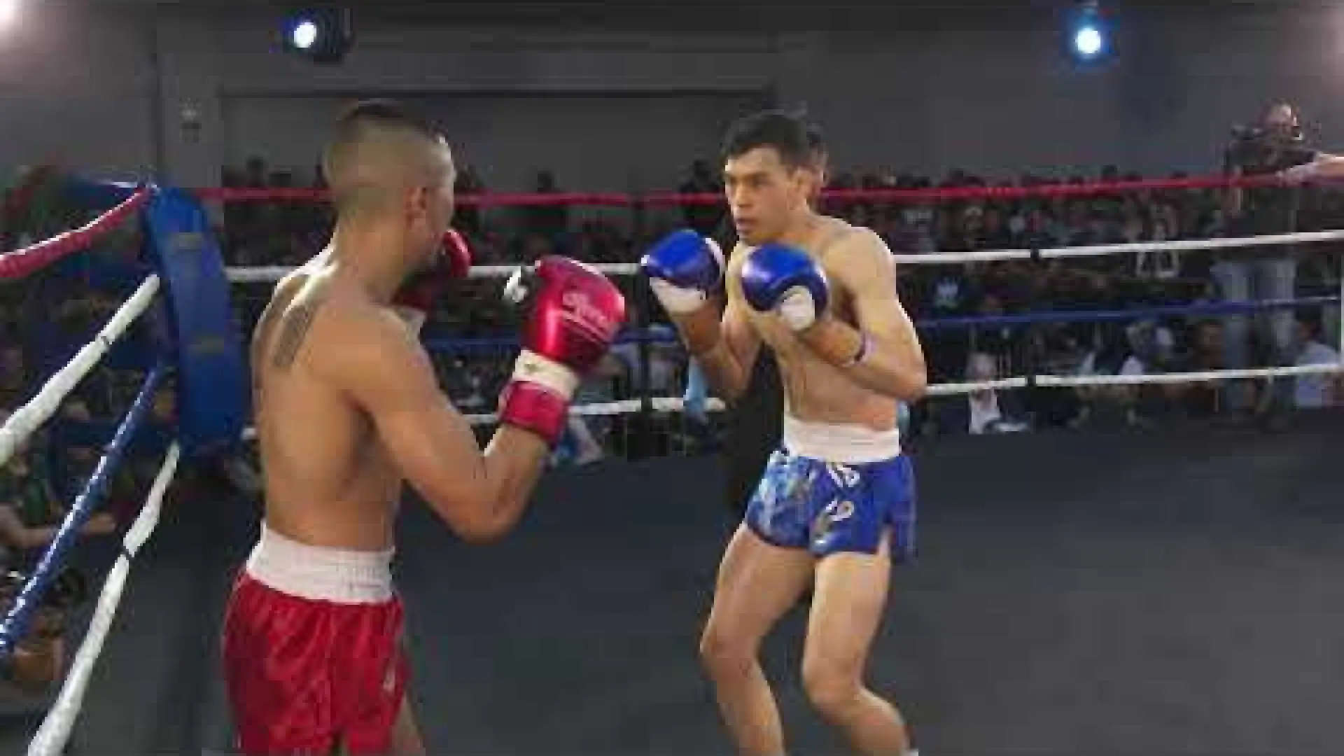 Wen Thio vs Daniel Nguyen (Fight Video)