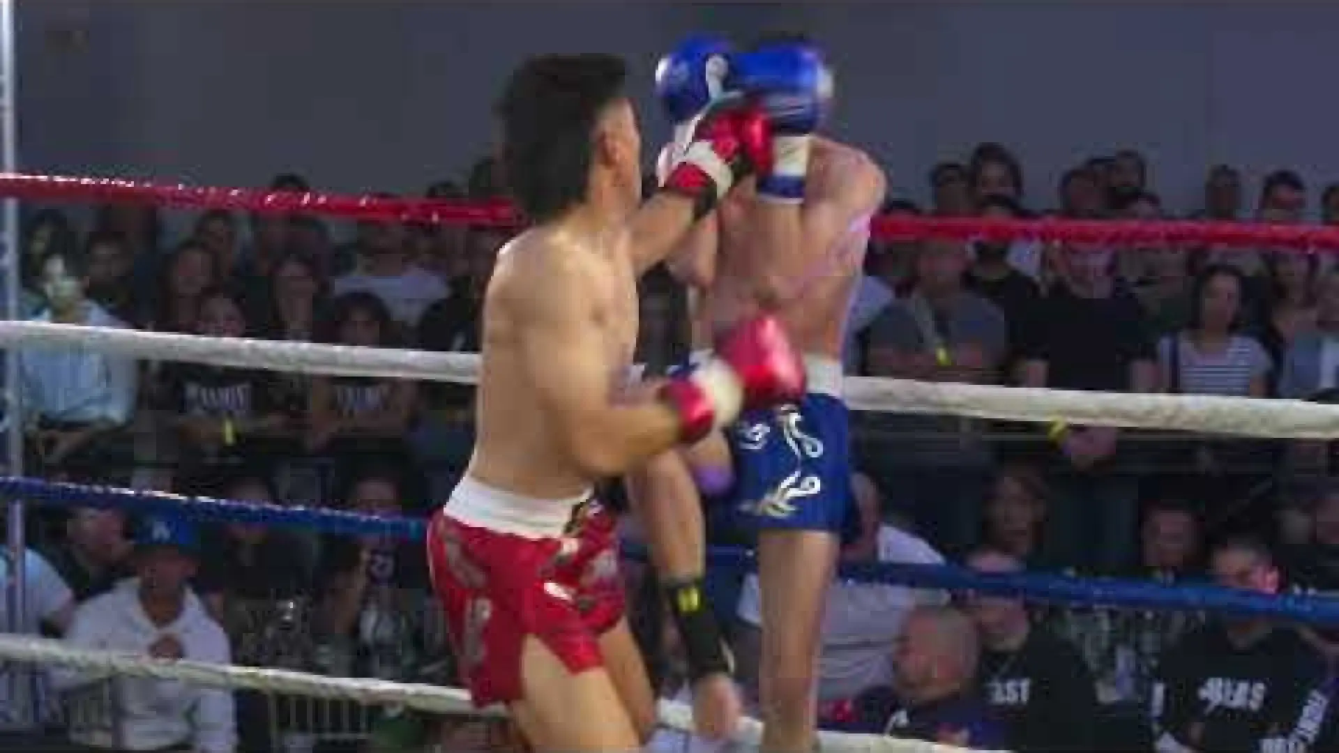 Eli Evitt vs Quang Pham (Fight Video)