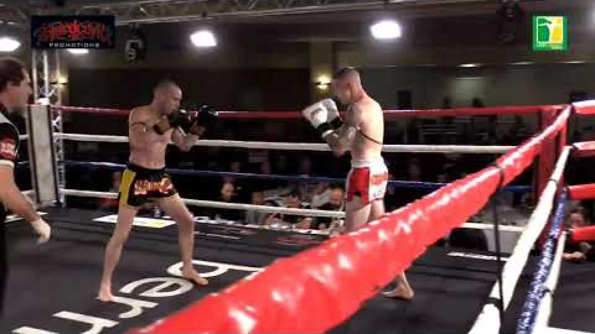 Cian Lougheed vs Iwan Jones (Fight Video)