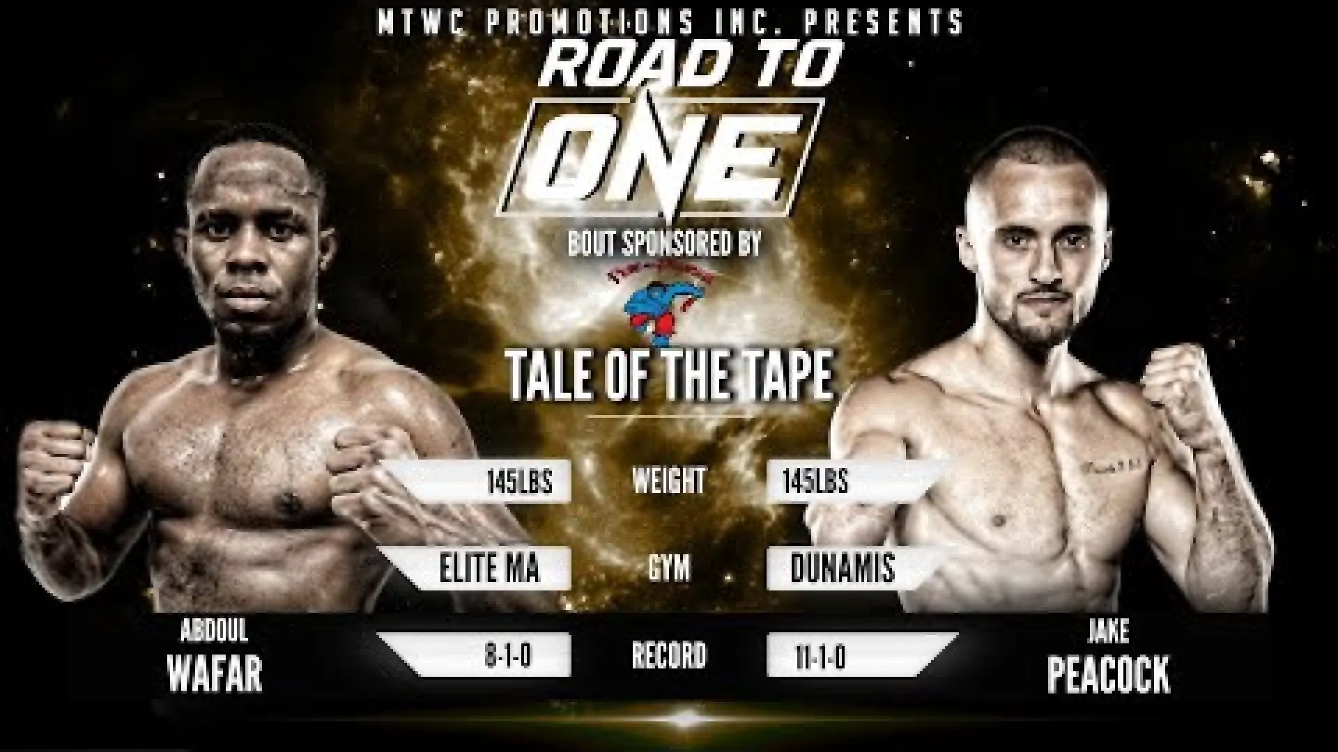 Jake Peacock vs Abdoul Wafar (Fight Video)