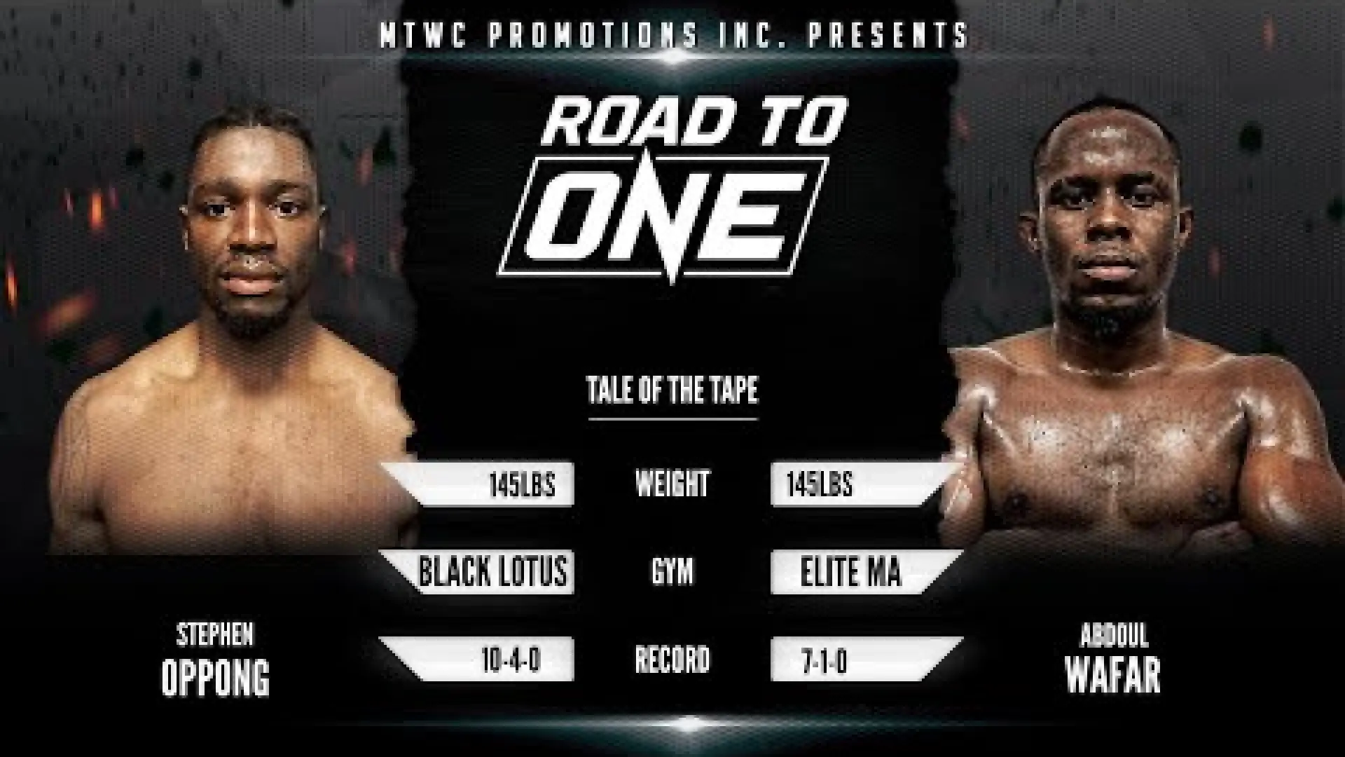 Stephen Oppong vs Abdoul Wafar (Fight Video)