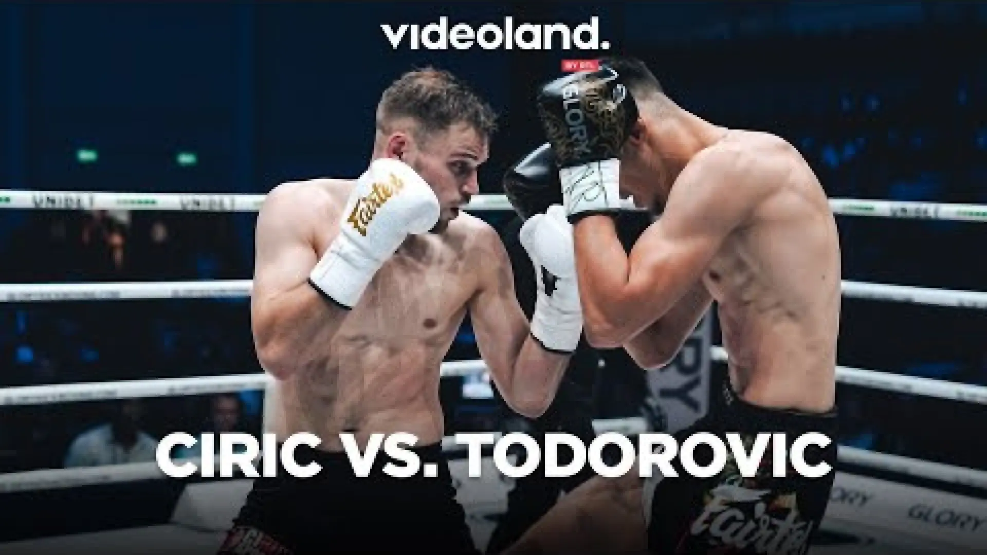Robin Ciric vs Nikola Todorovic (Fight Video)