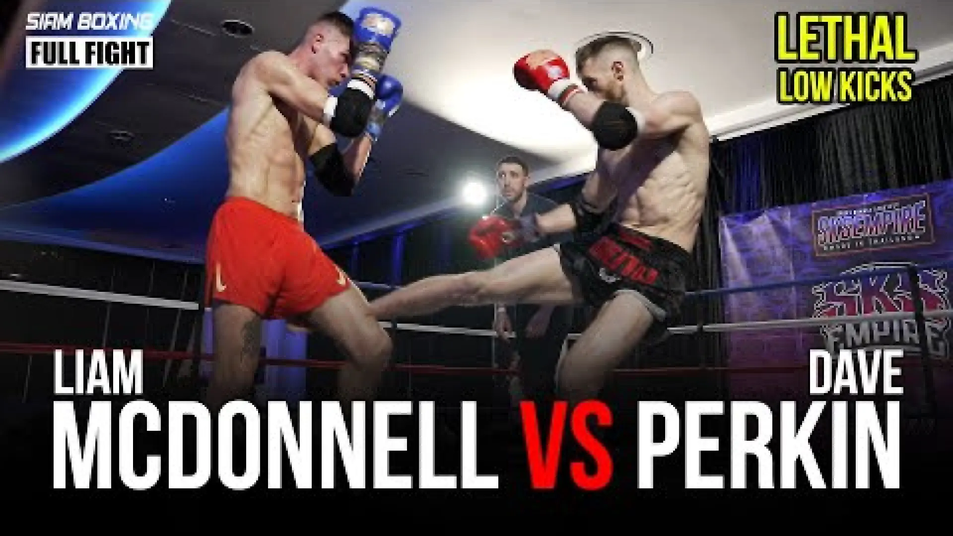 Liam McDonnell vs Dave Perkin (Fight Video)