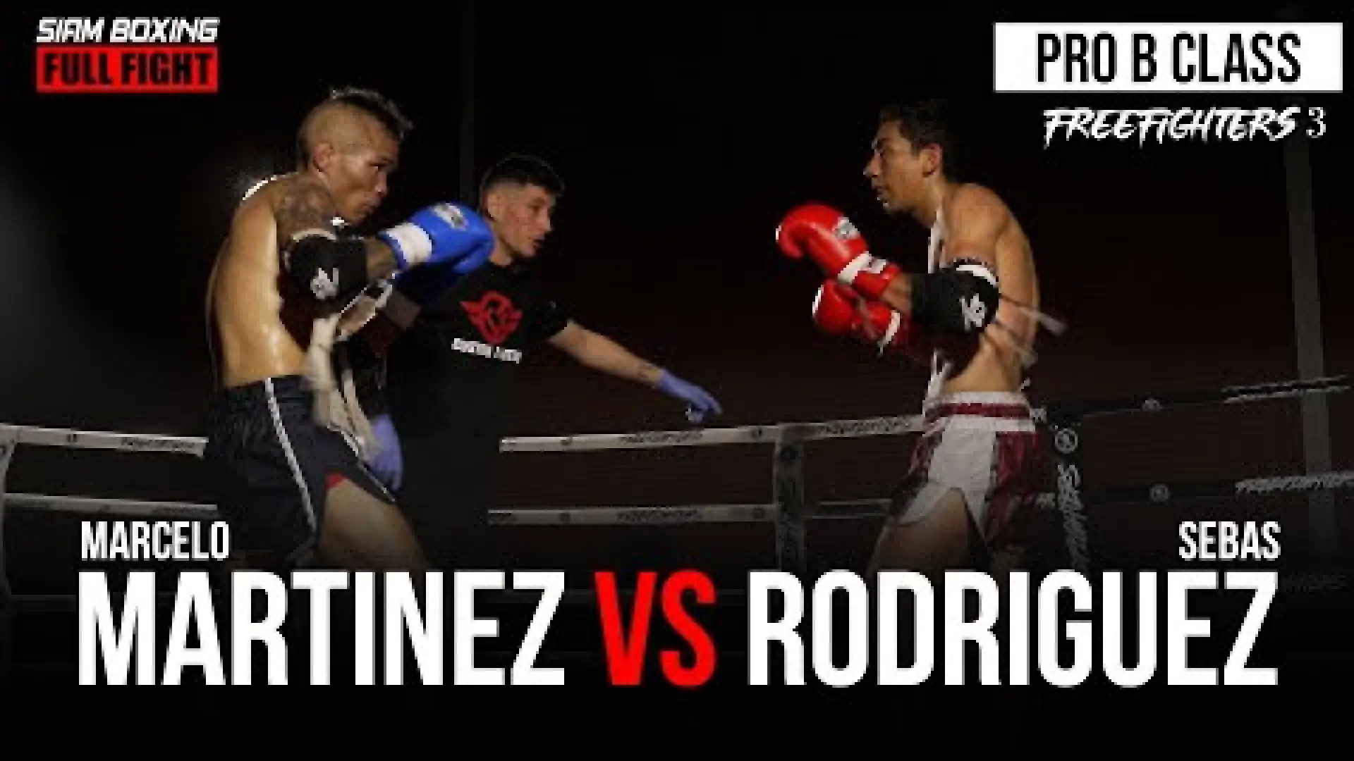 Marcelo Martinez vs Sebas Rodriguez (Fight Video)