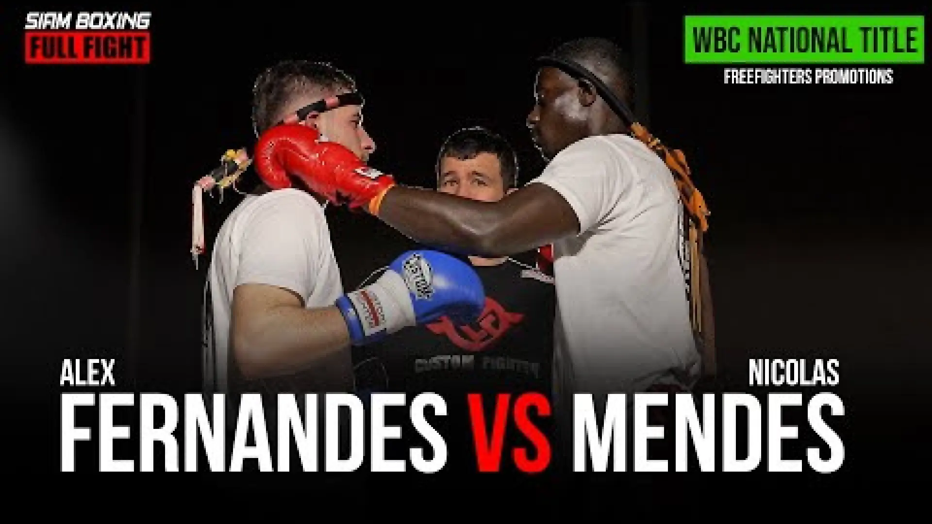 Alex Fernandez vs Nicolas Mendes (Fight Video)