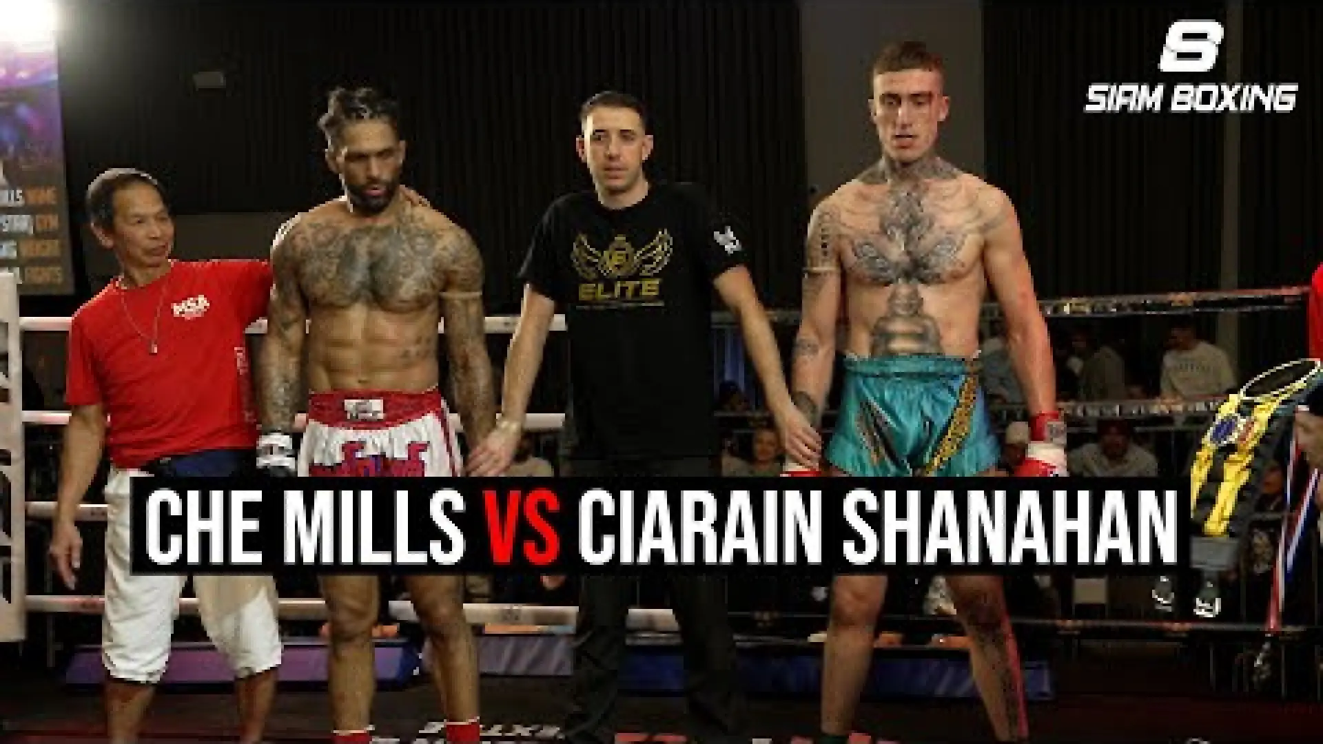 Che Mills vs Ciarain Shanahan (Fight Video)