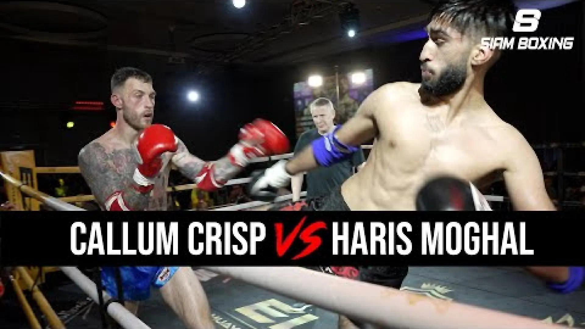 Callum Crisp vs Haris Moghal (Fight Video)