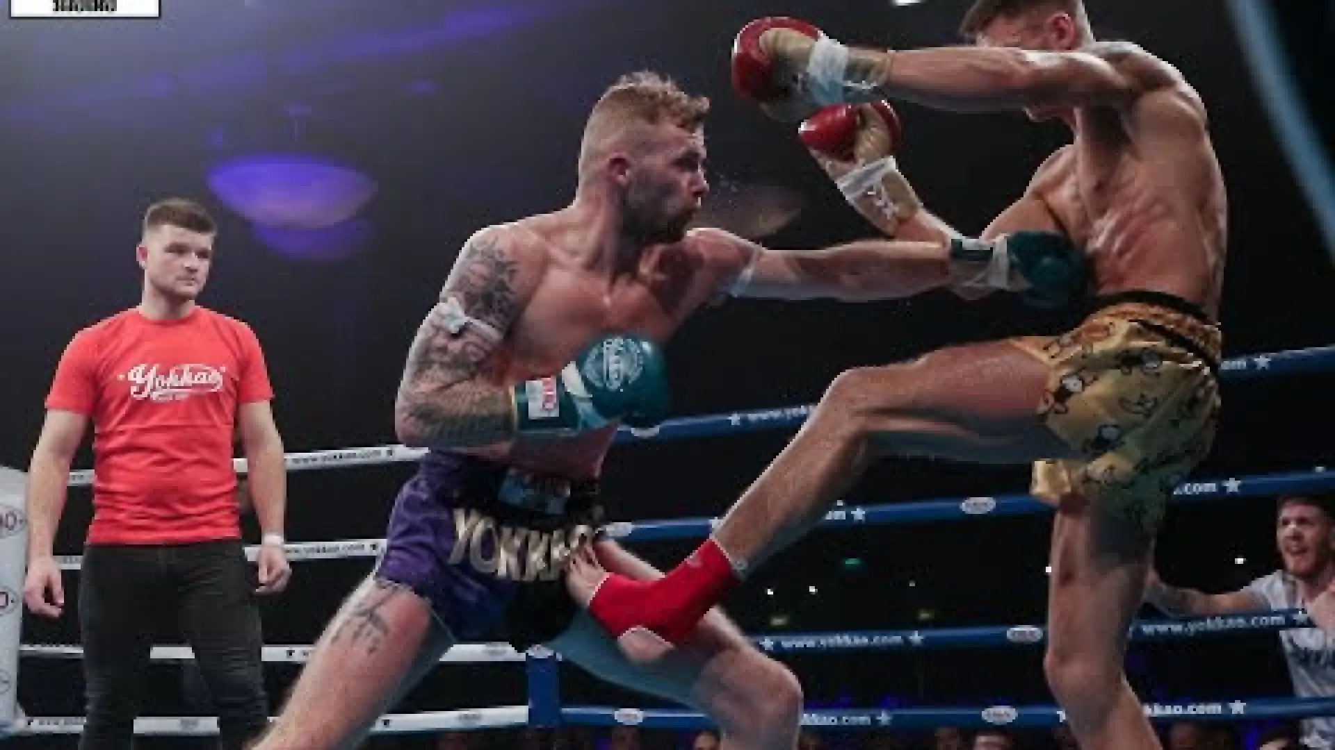 Jack Maguire vs Glyn Blackburn (Fight Video)