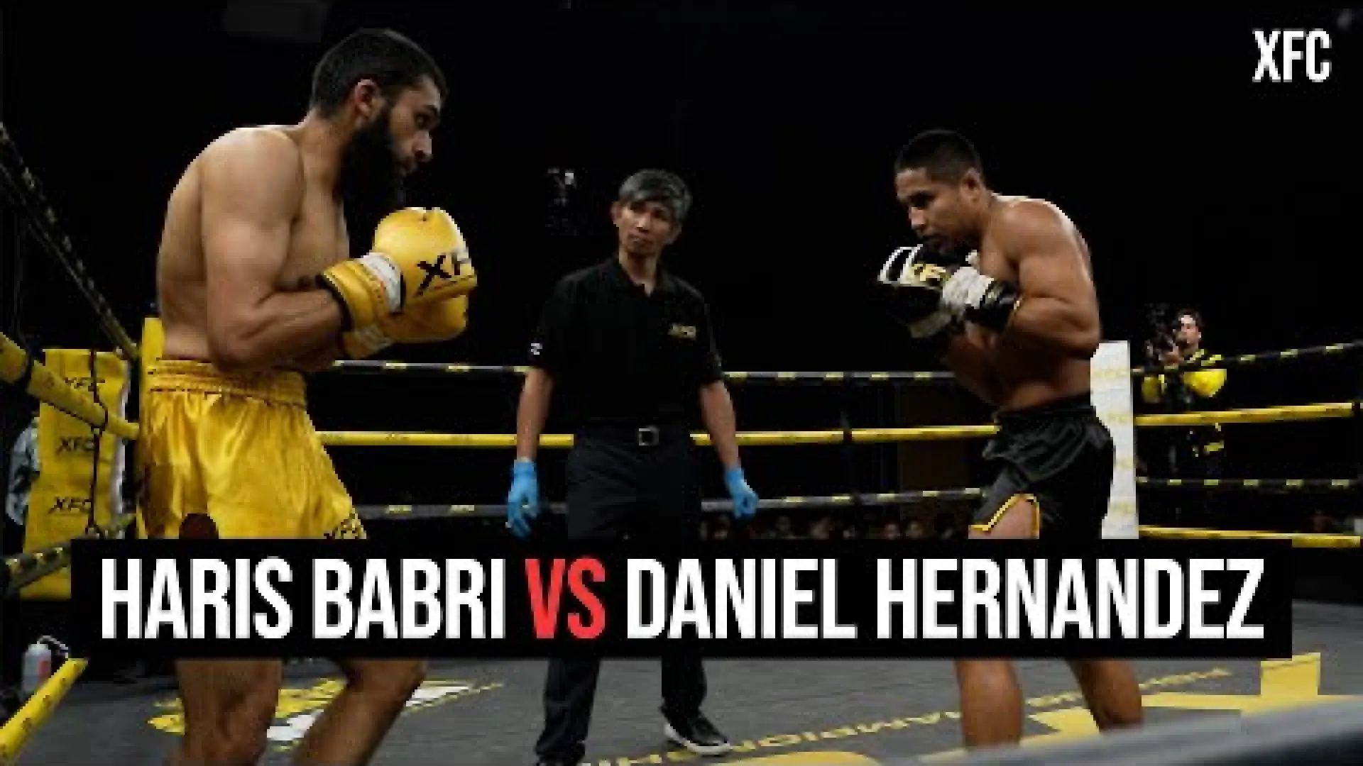 Haris Babri vs Daniel Hernandez (Fight Video)