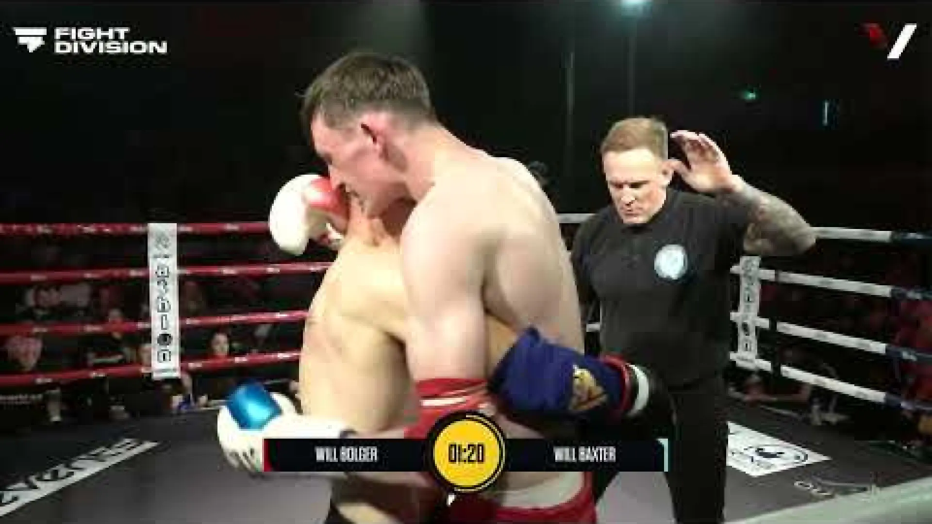 Will Bolger vs Will Baxter (Fight Video)