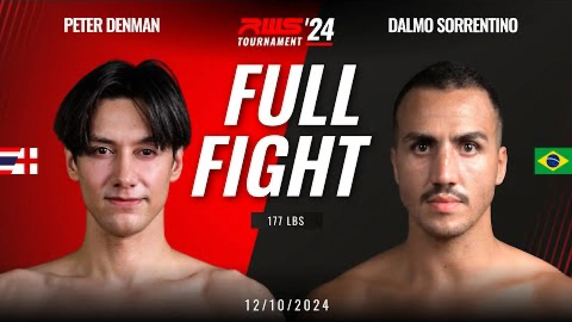 Peter Denman vs Dalmo Sorrentino (Fight Video)