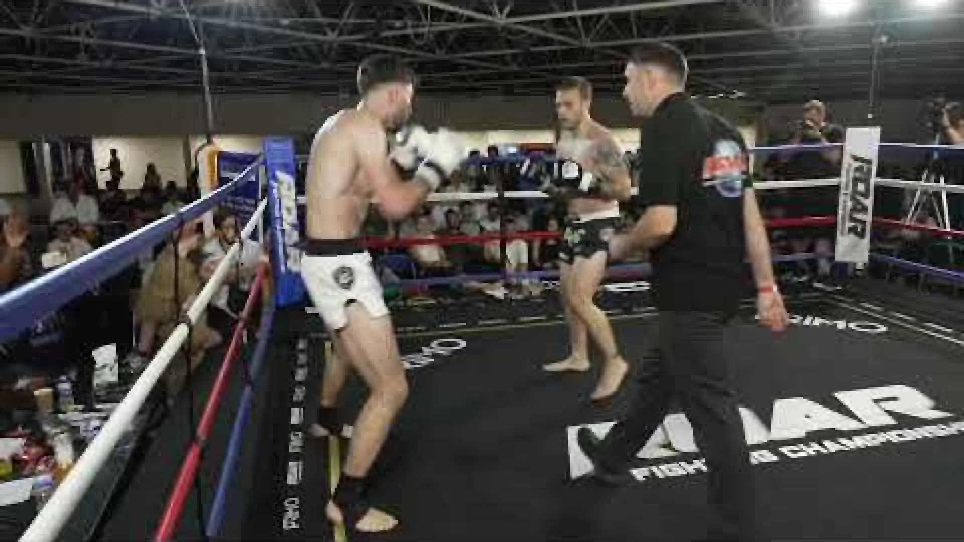Daniele Saccardi vs Ollie Grogan (Fight Video)