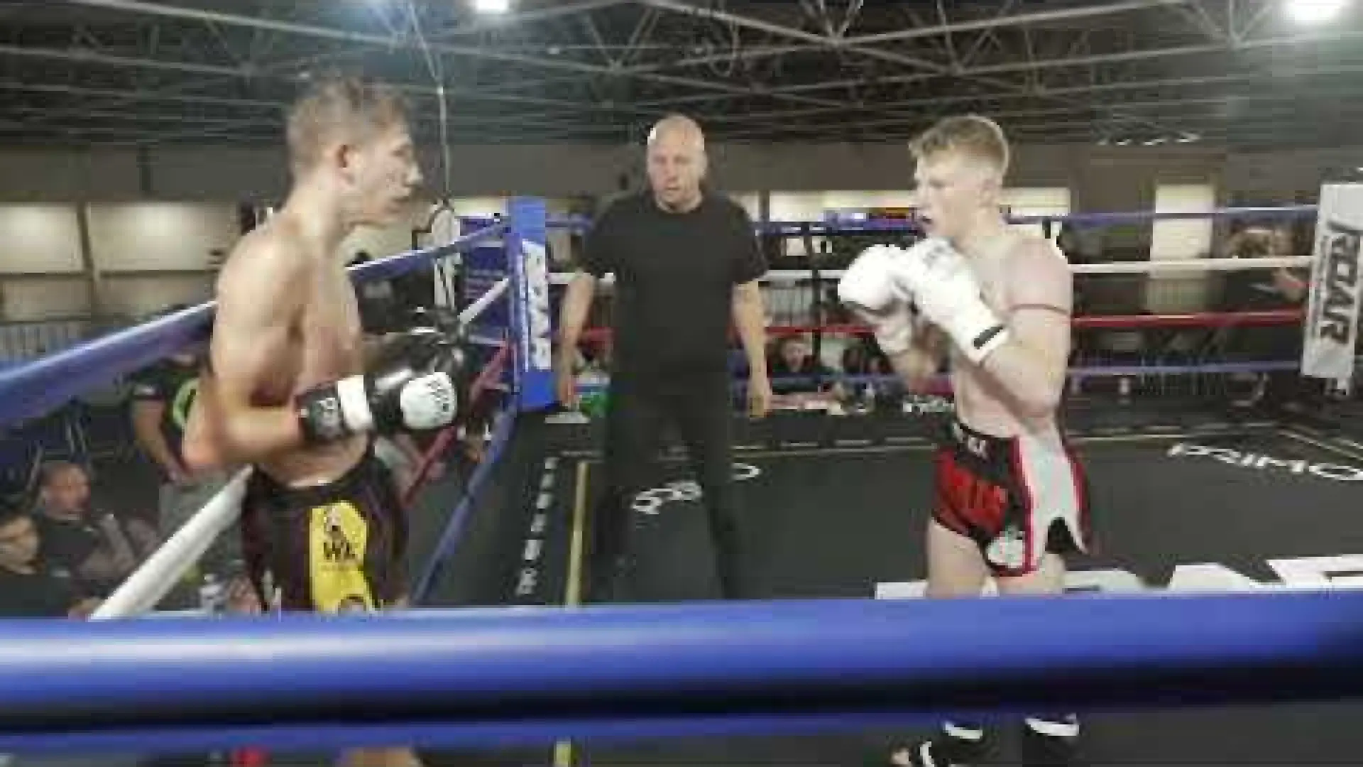 Billy Brassfield vs Max Mills (Fight Video)