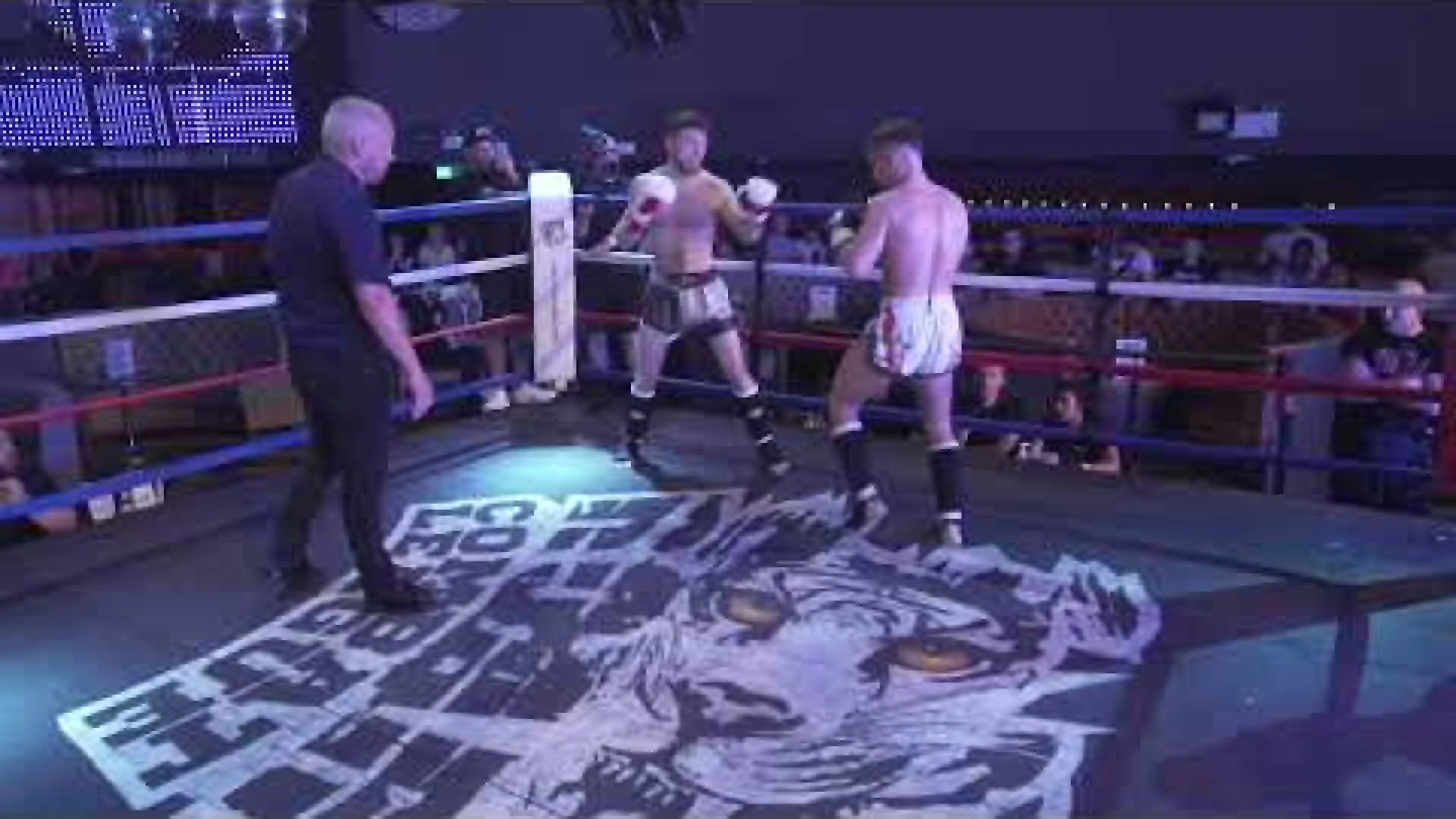 Gyula Orosz vs Connor Quilty (Fight Video)