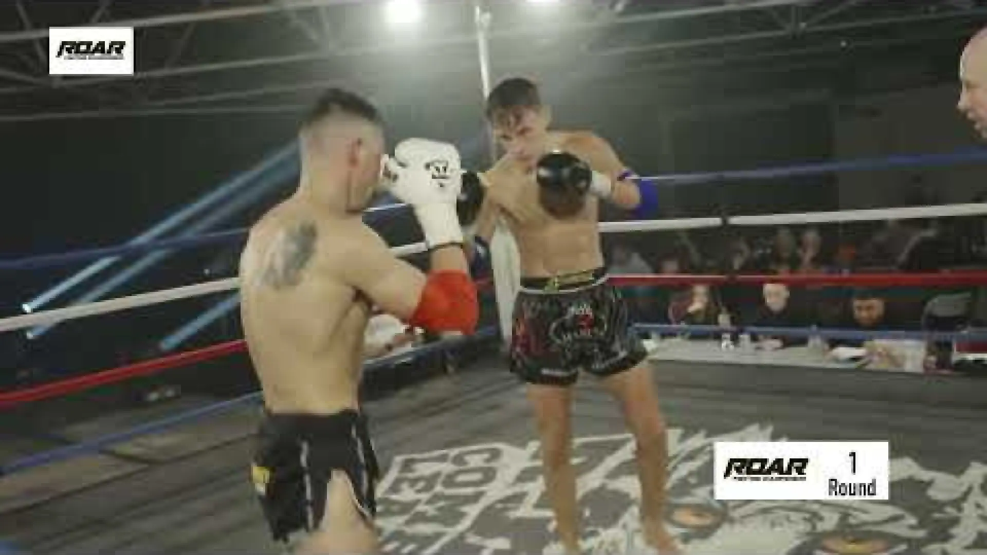 Alfie Ponting vs Antonio Pagona (Fight Video)